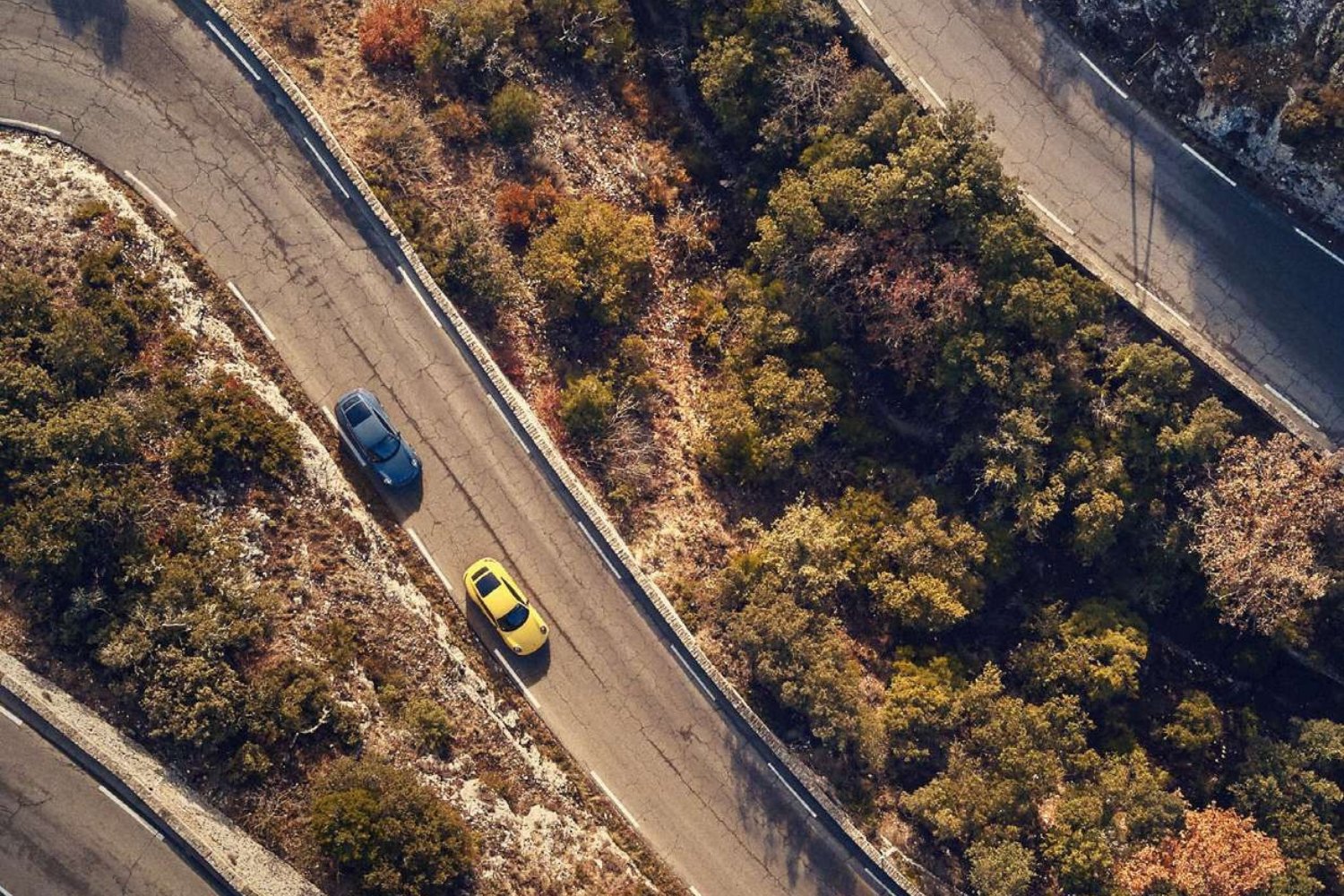 Automotive & Sports