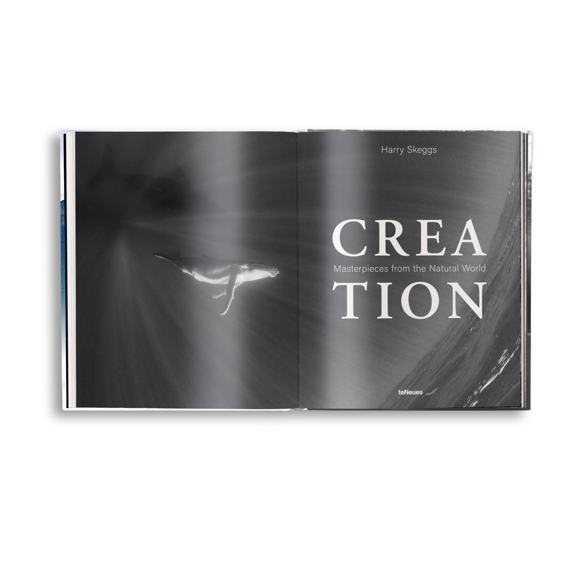 Creation