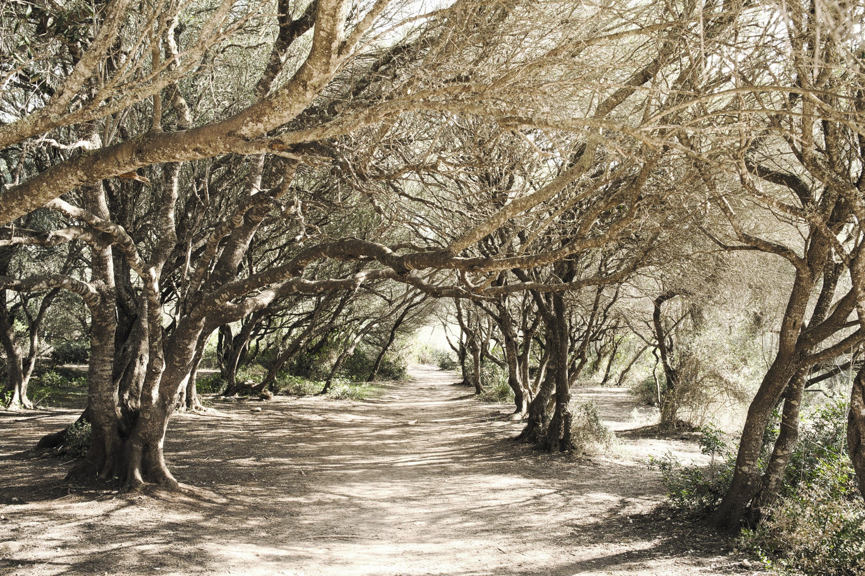 Charming Mallorca (Deutsche Ausgabe)