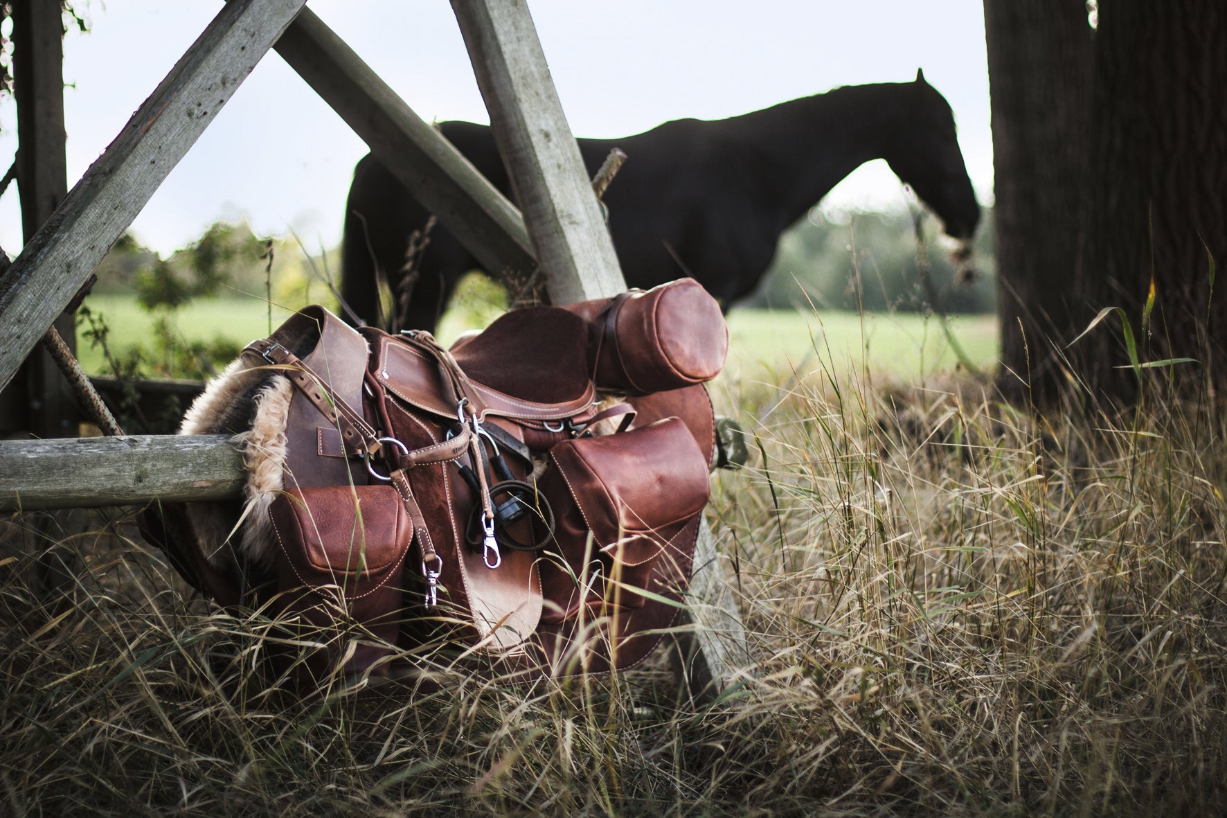 Reiten: Das ultimative Buch