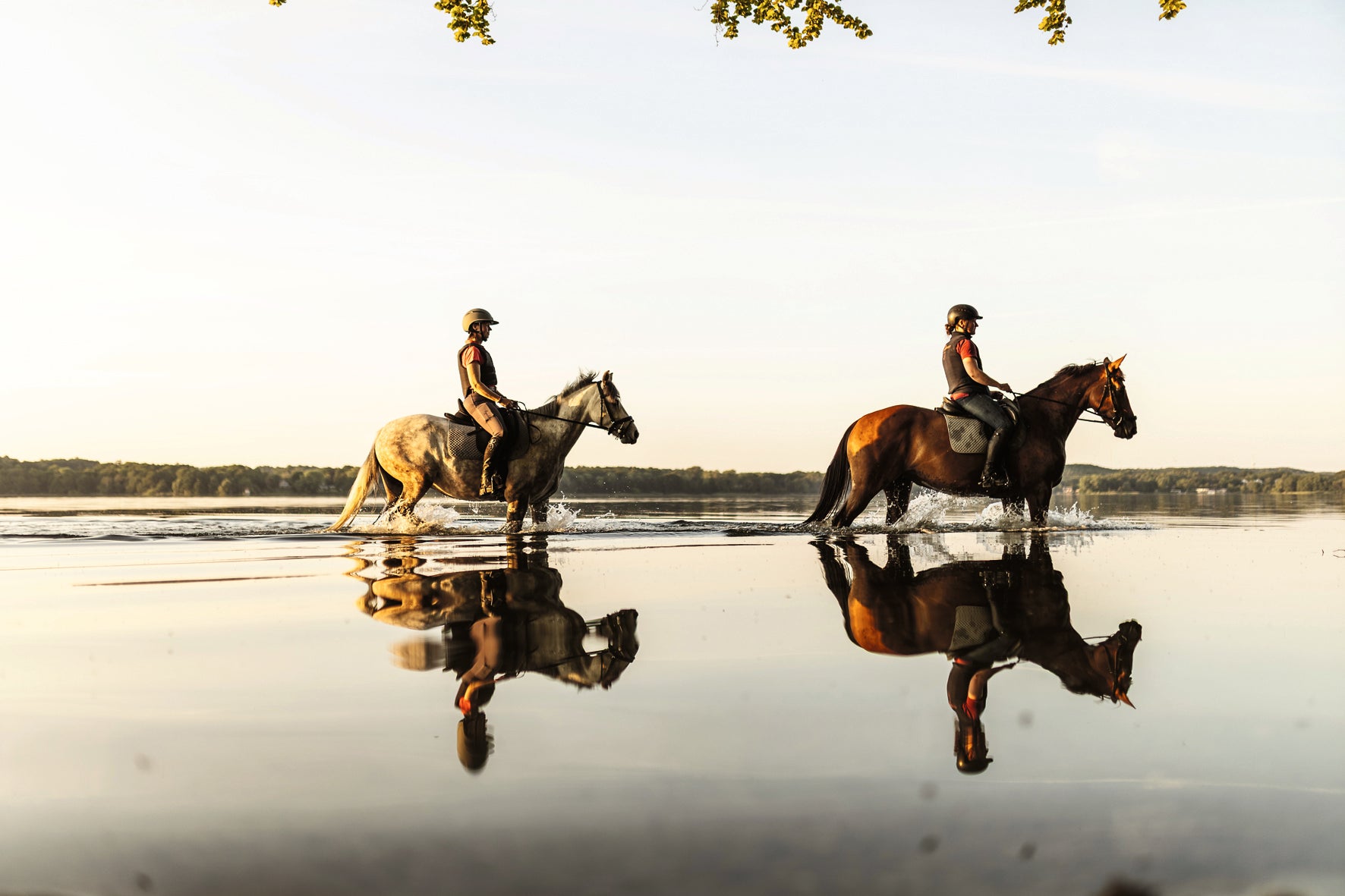 Reiten: Das ultimative Buch