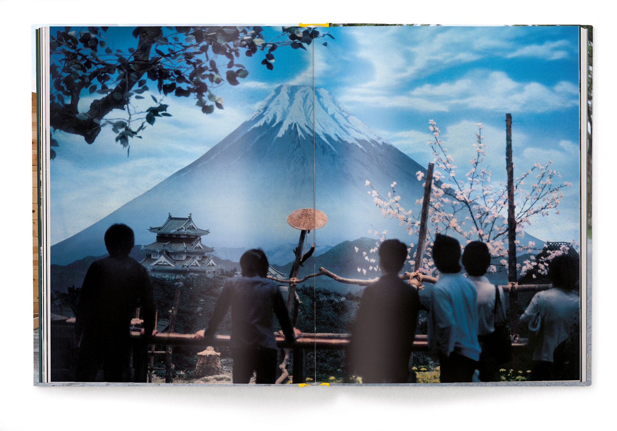 Elliott Erwitt's Kolor