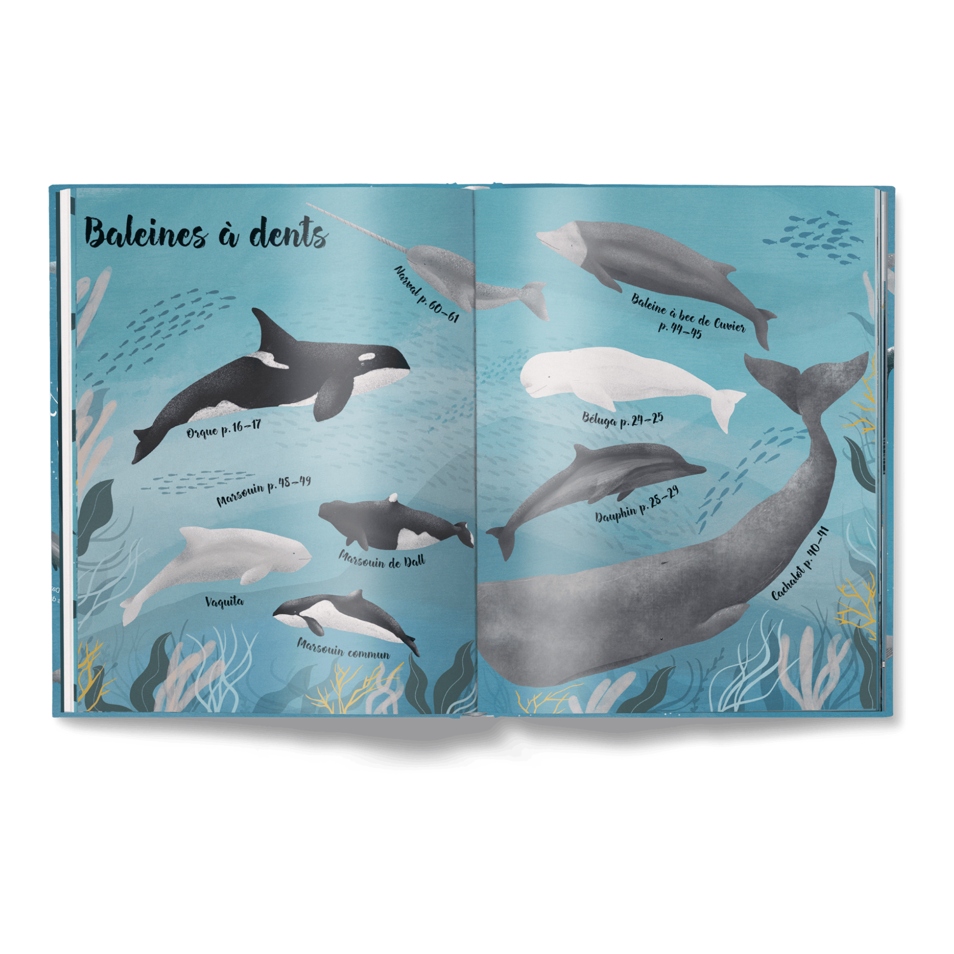 Le Monde des Baleines