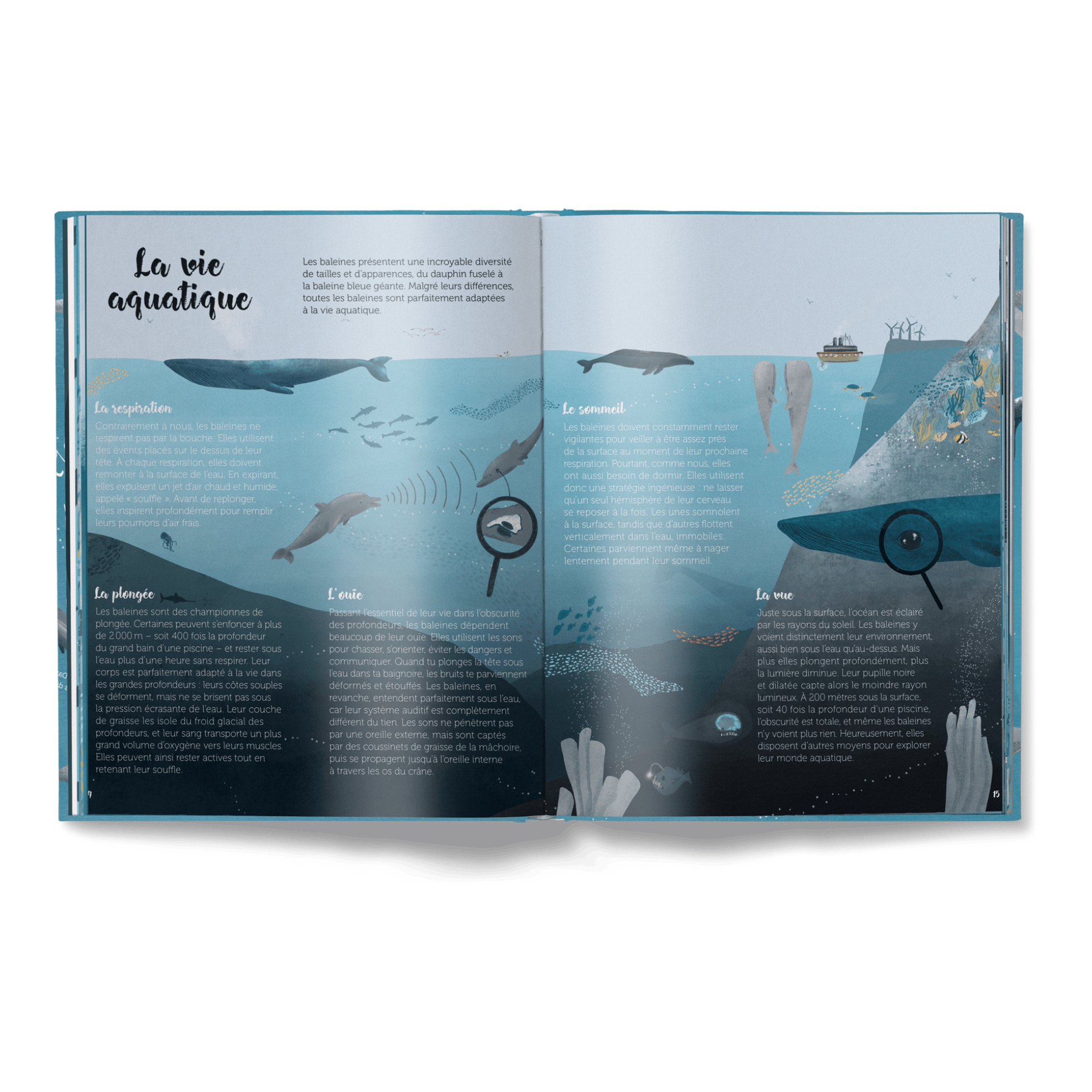 Le Monde des Baleines