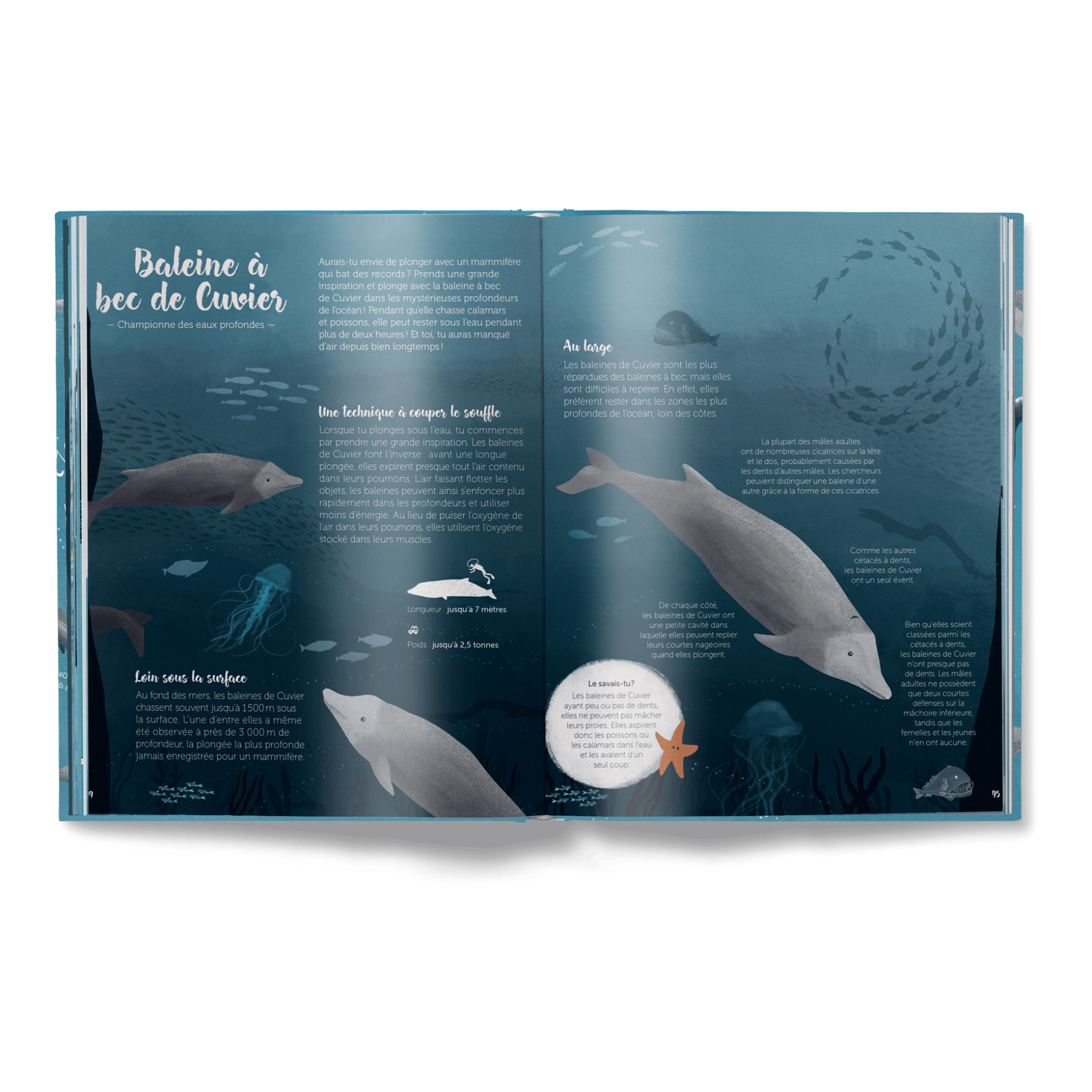 Le Monde des Baleines