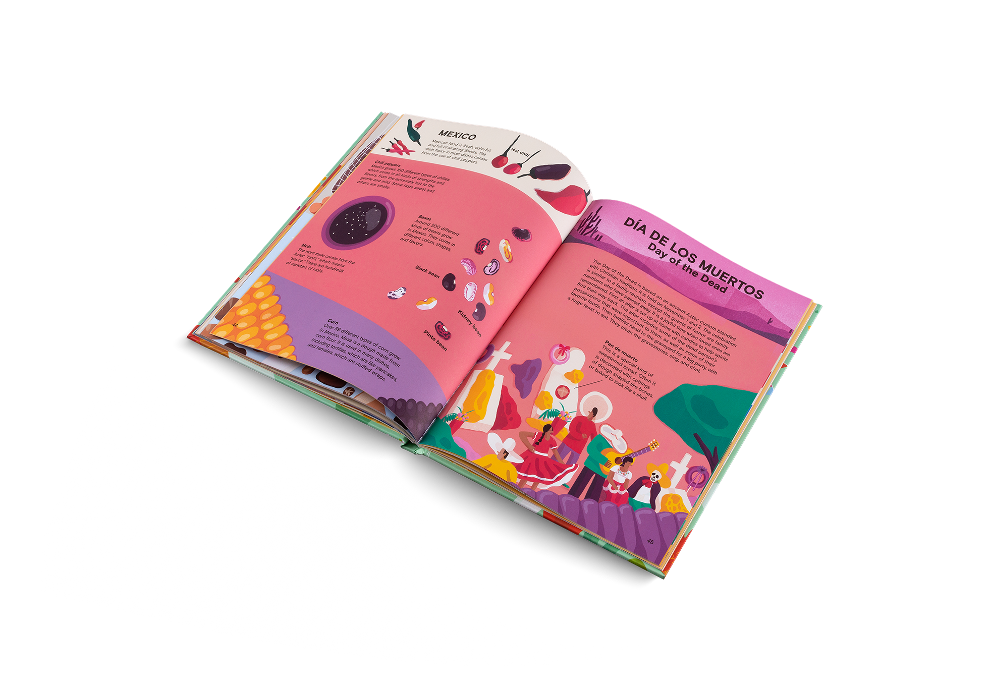 A Taste of the World (New Edition)