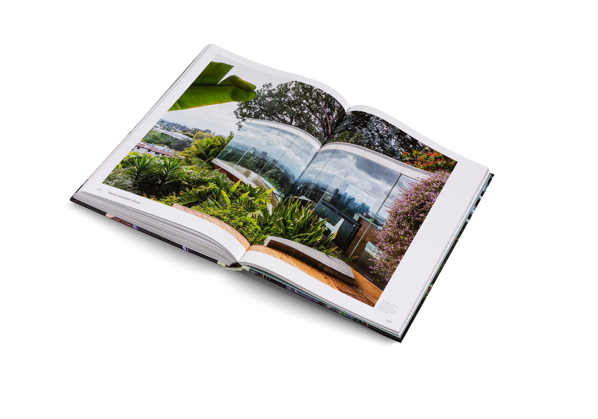 The Architecture of the United States: Visions and Defiance