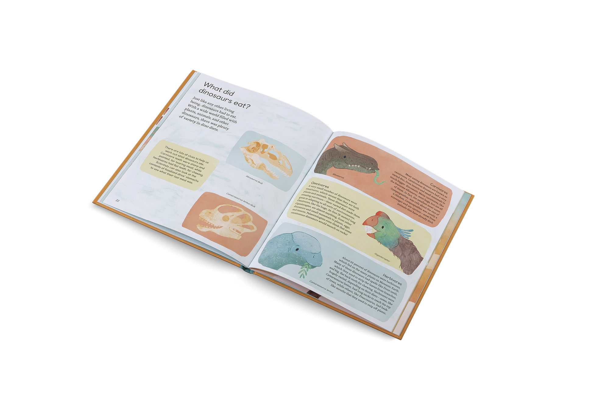 Ask Me About… Dinosaurs