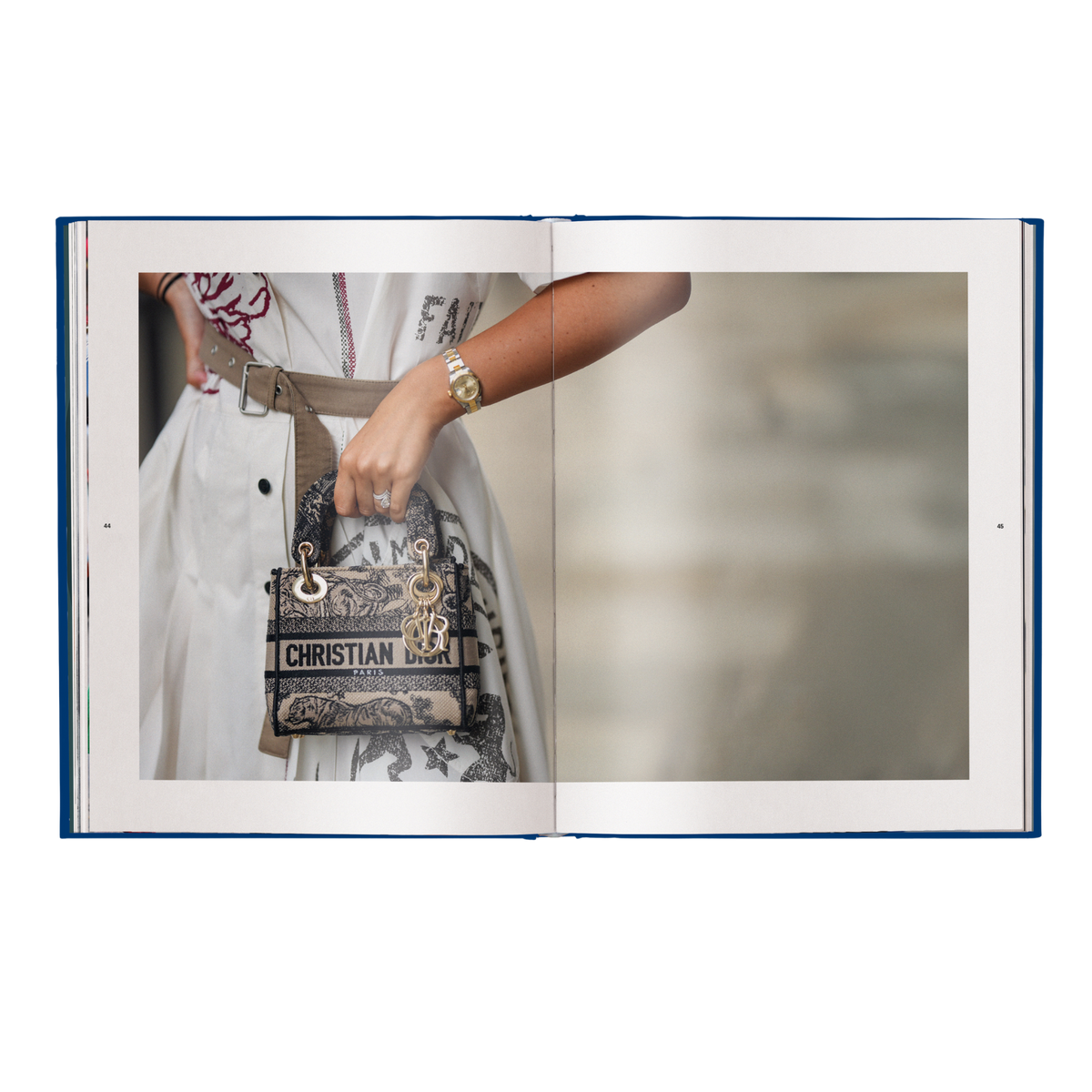 Dior Bags: Der ultimative Guide