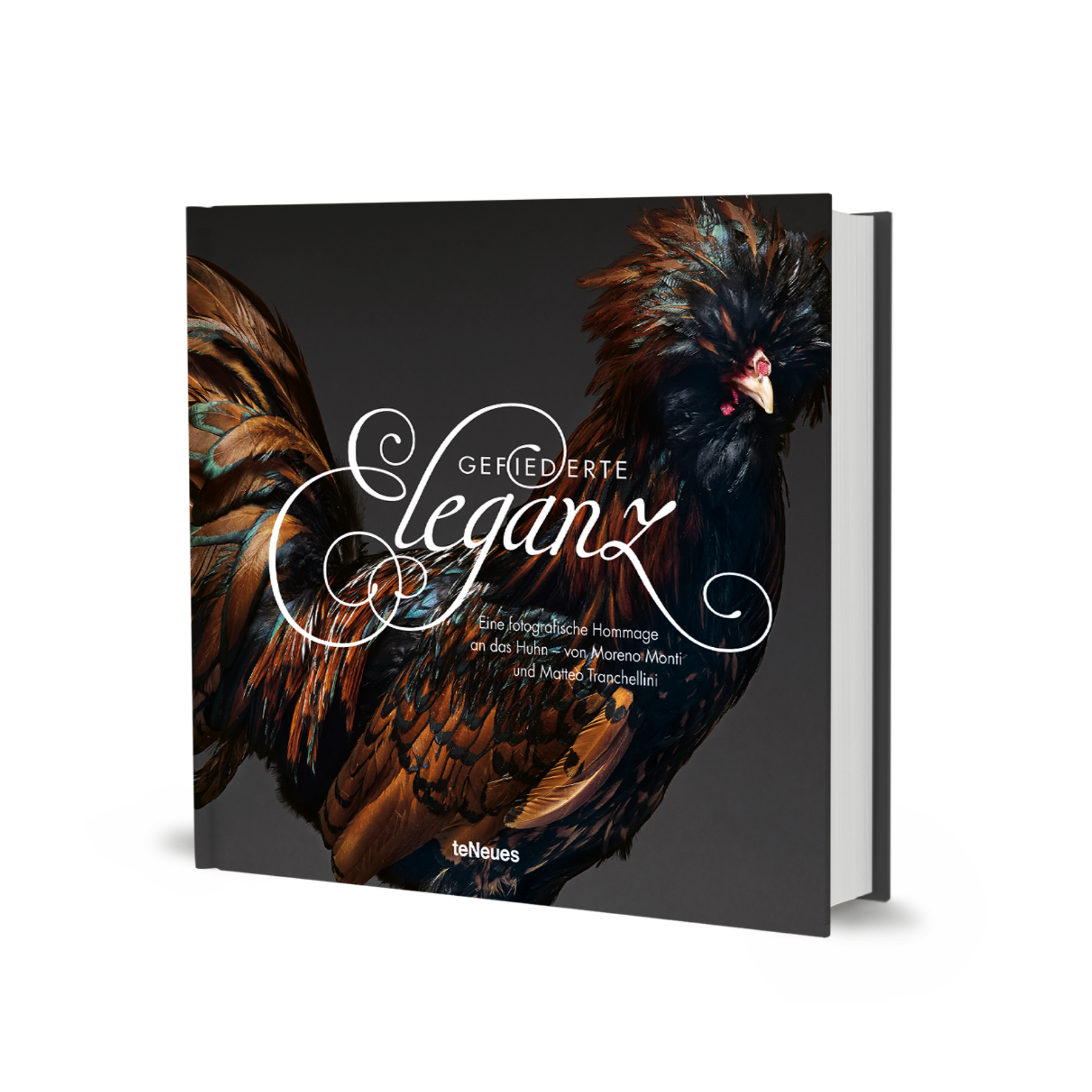 Gefiederte Eleganz