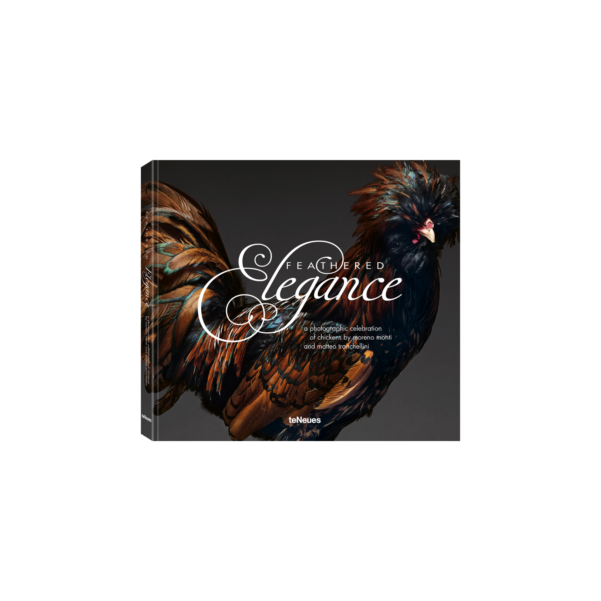 Feathered Elegance