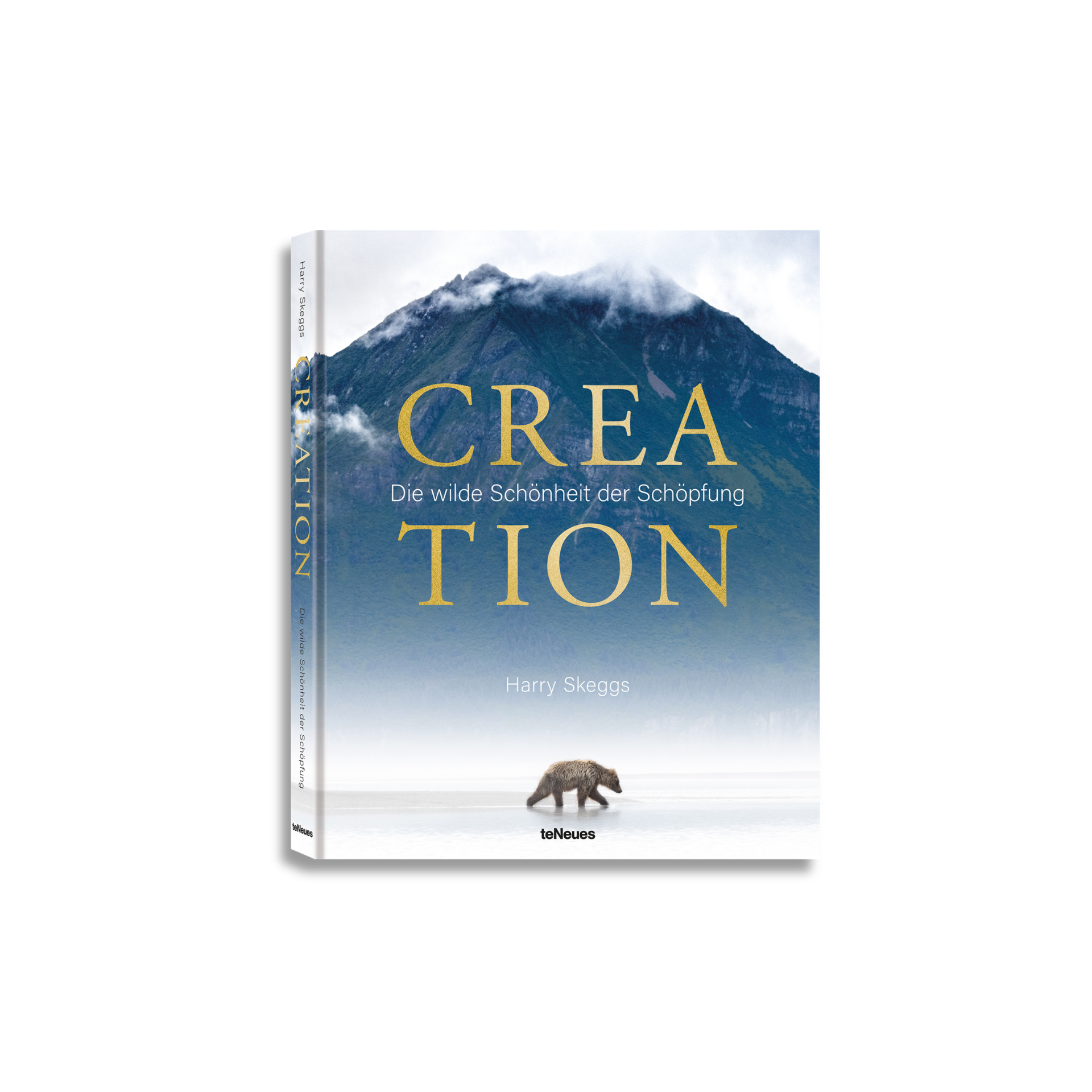 Book titled 'Creation' with a mountain and bear illustration on the cover