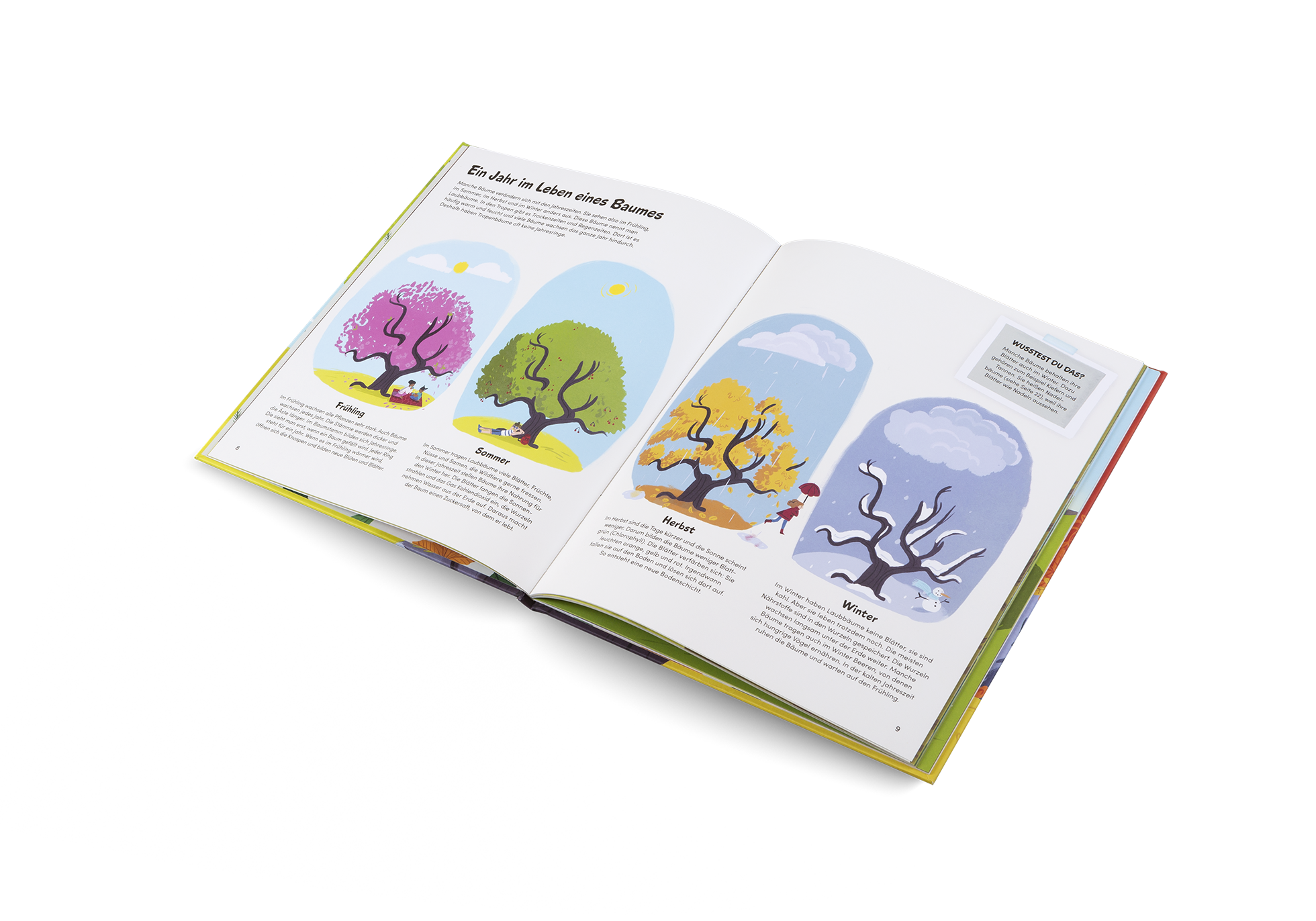 Das kleine Buch der Bäume