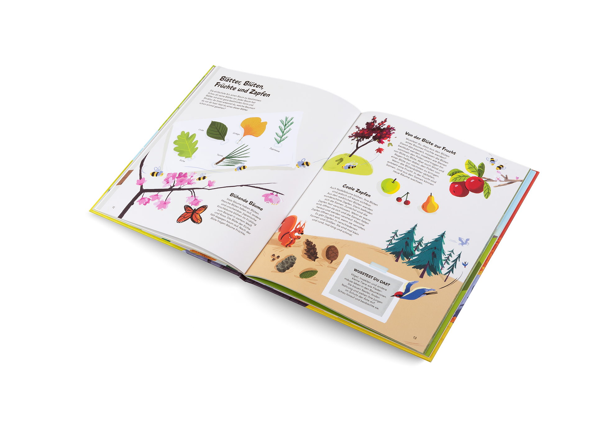 Das kleine Buch der Bäume