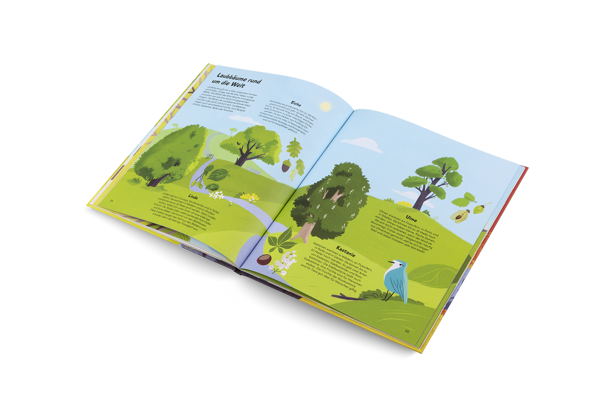 Das kleine Buch der Bäume