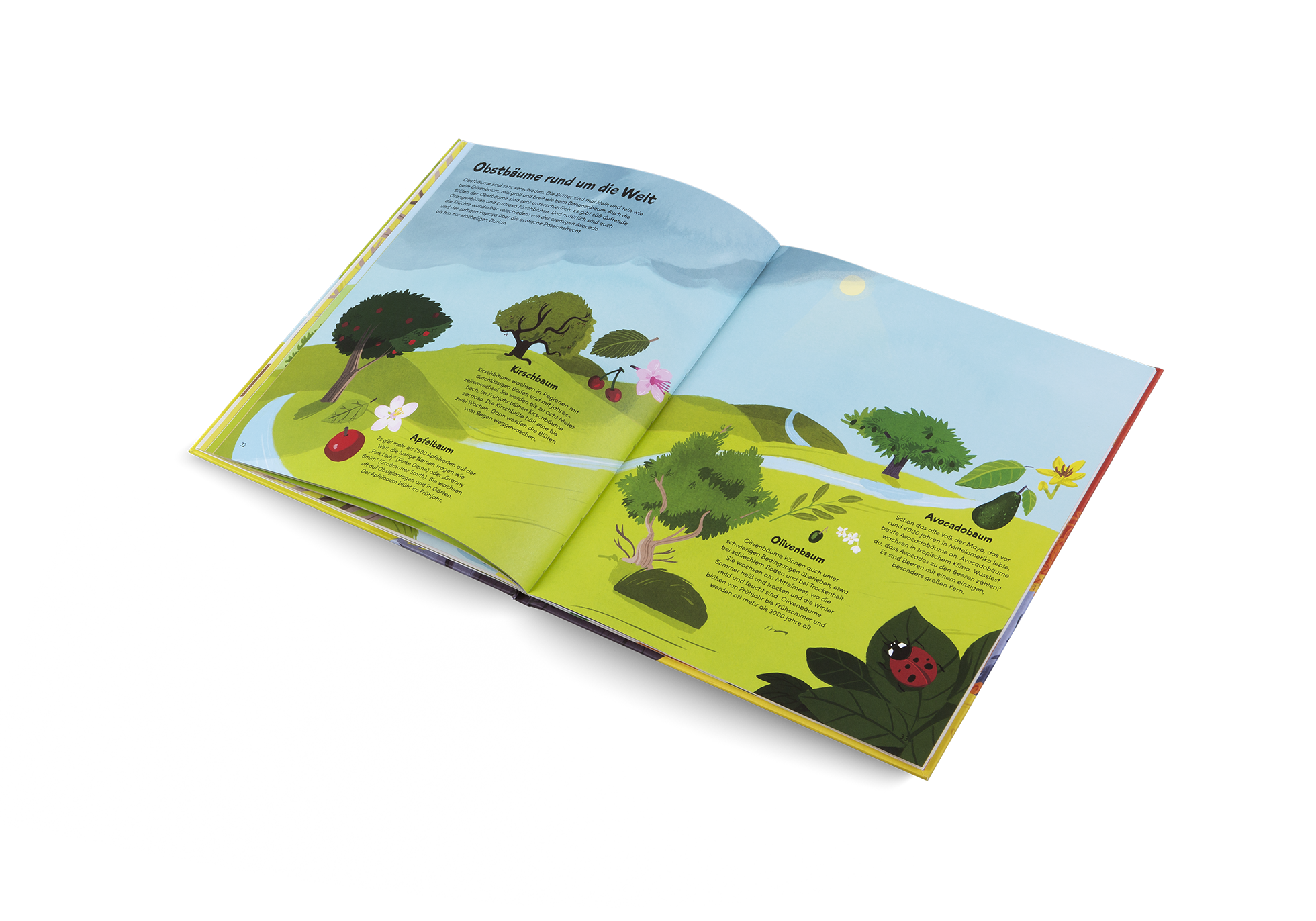 Das kleine Buch der Bäume