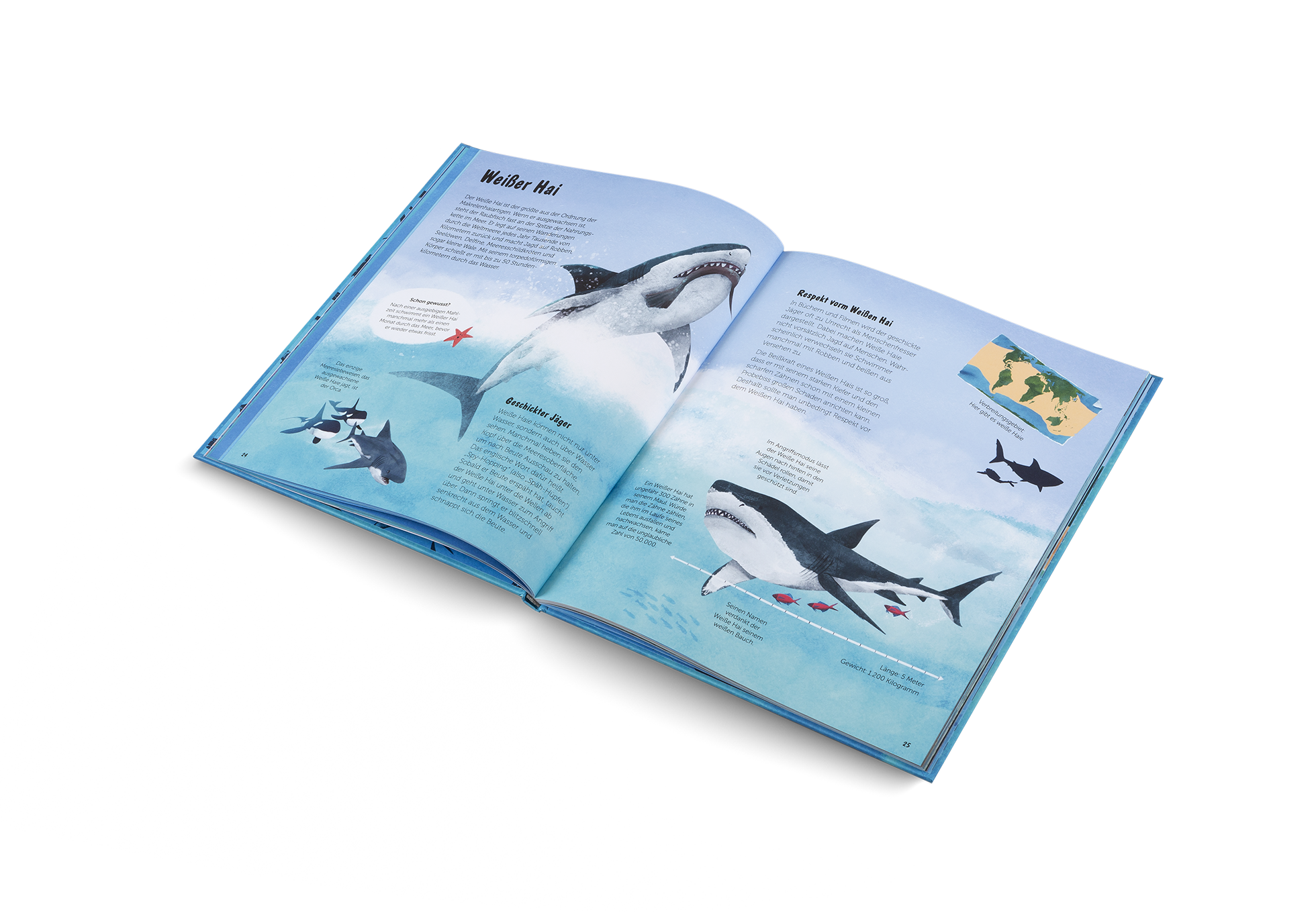 Die Welt der Haie