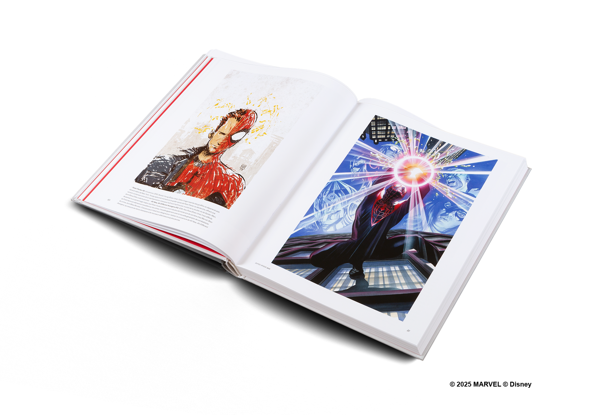 Disney Hotel New York: The Art of Marvel