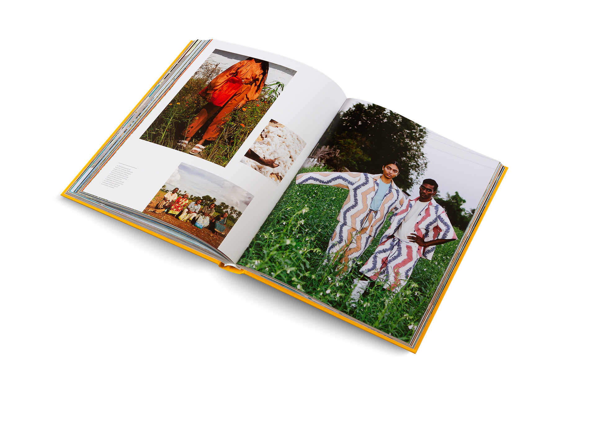 Dream Businesses - Live and work on your on terms.