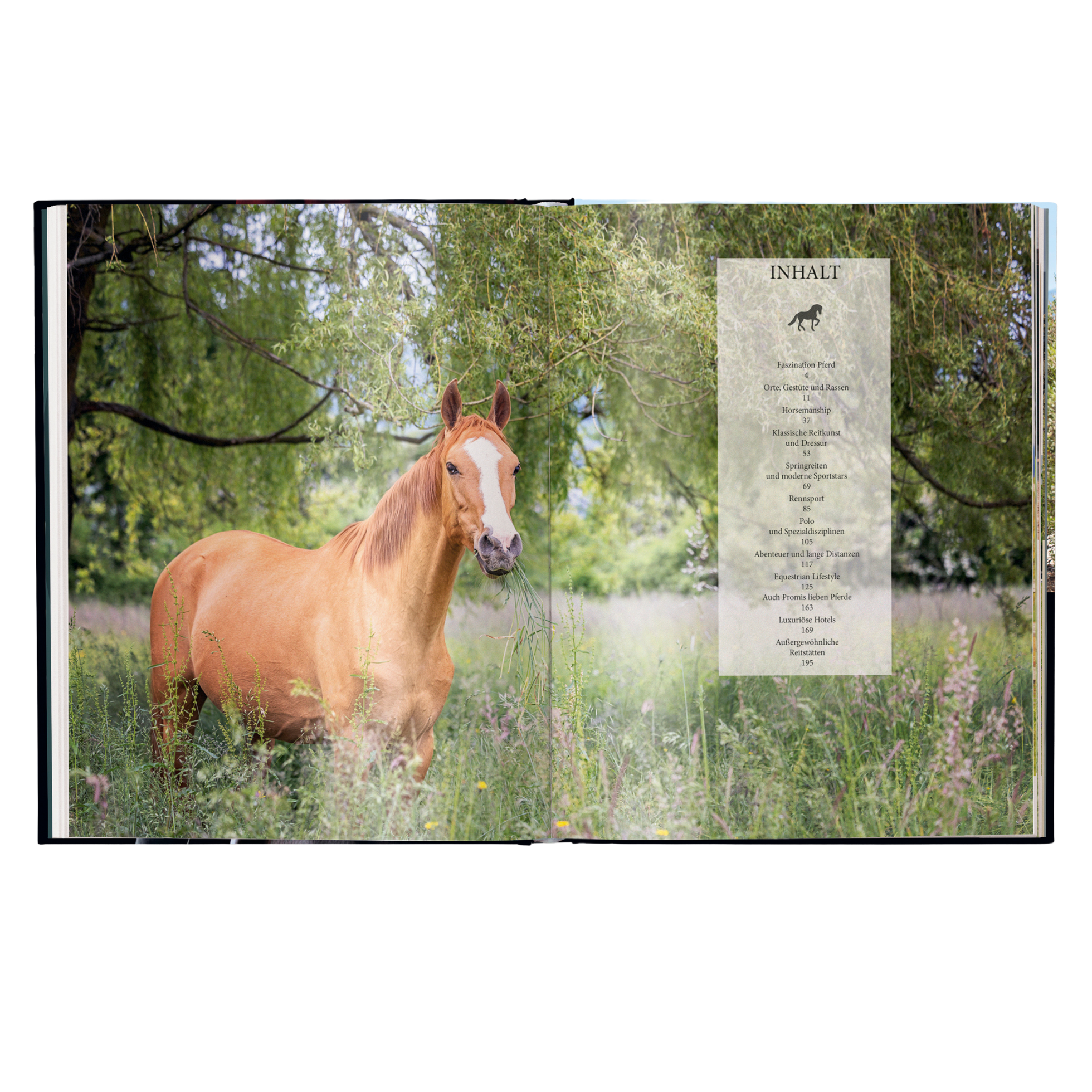 Reiten: Das ultimative Buch