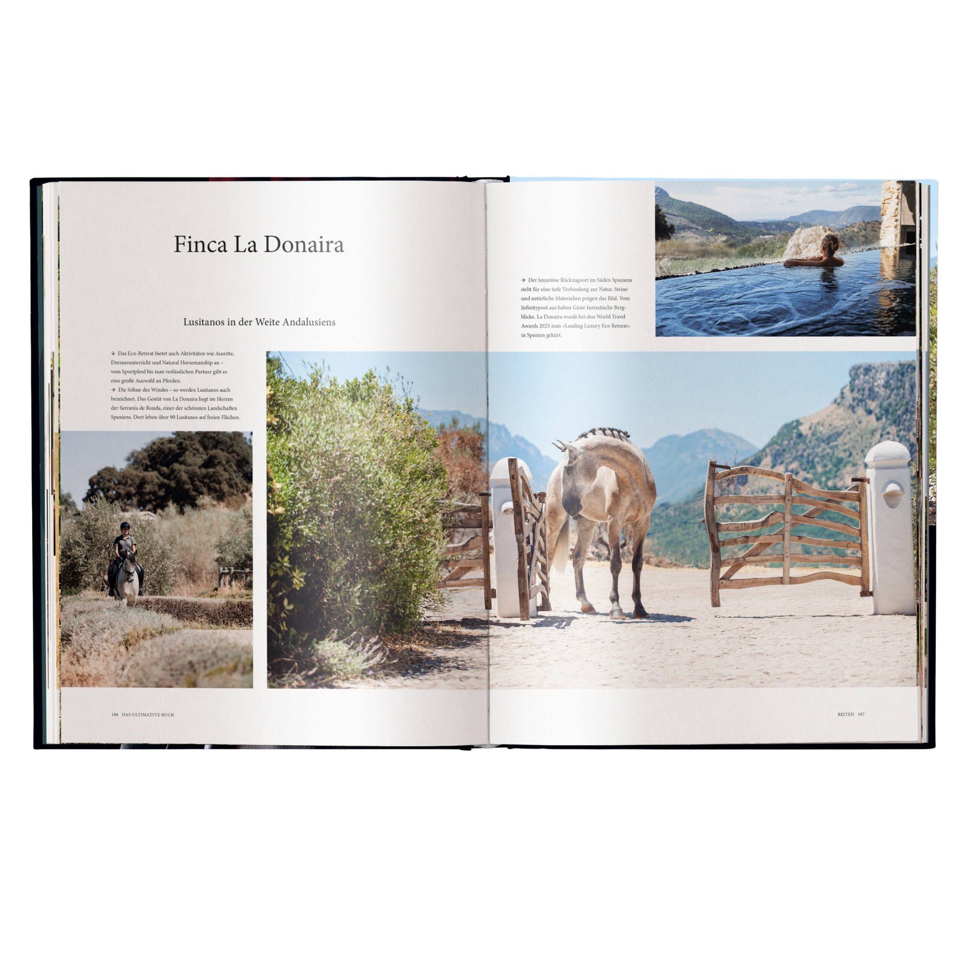 Reiten: Das ultimative Buch