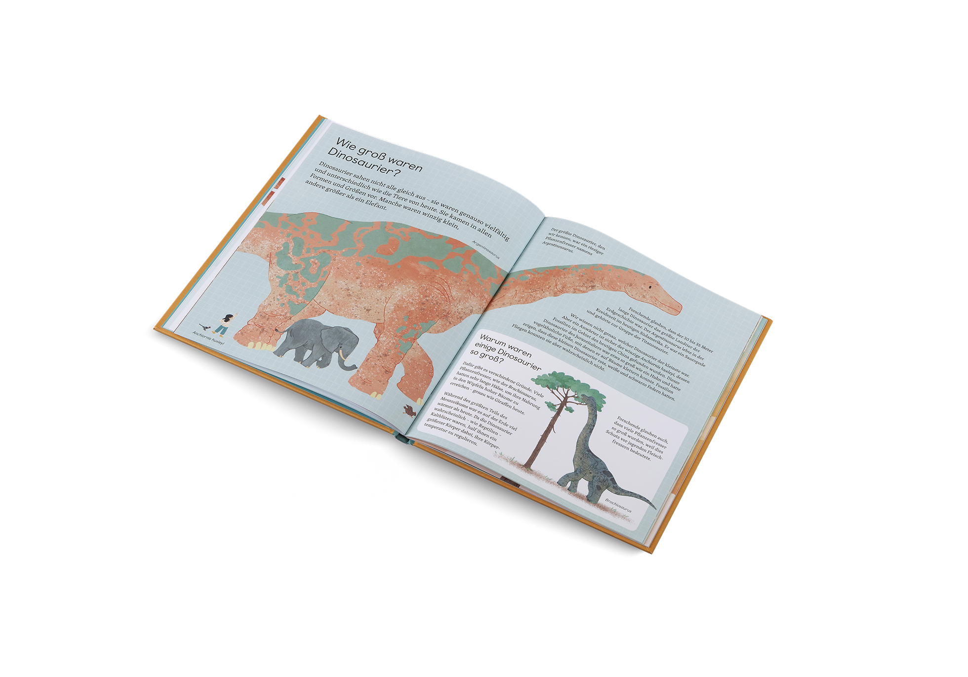 Frag mich was über… Dinosaurier