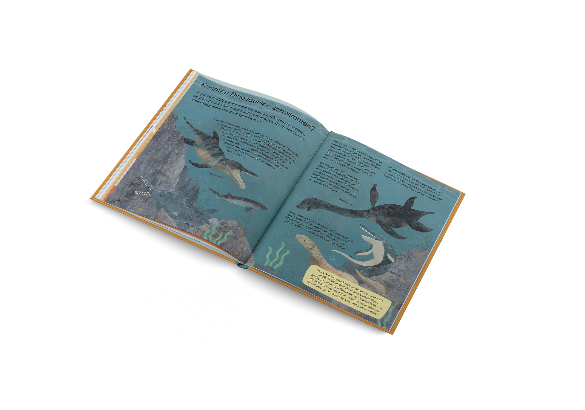 Frag mich was über… Dinosaurier