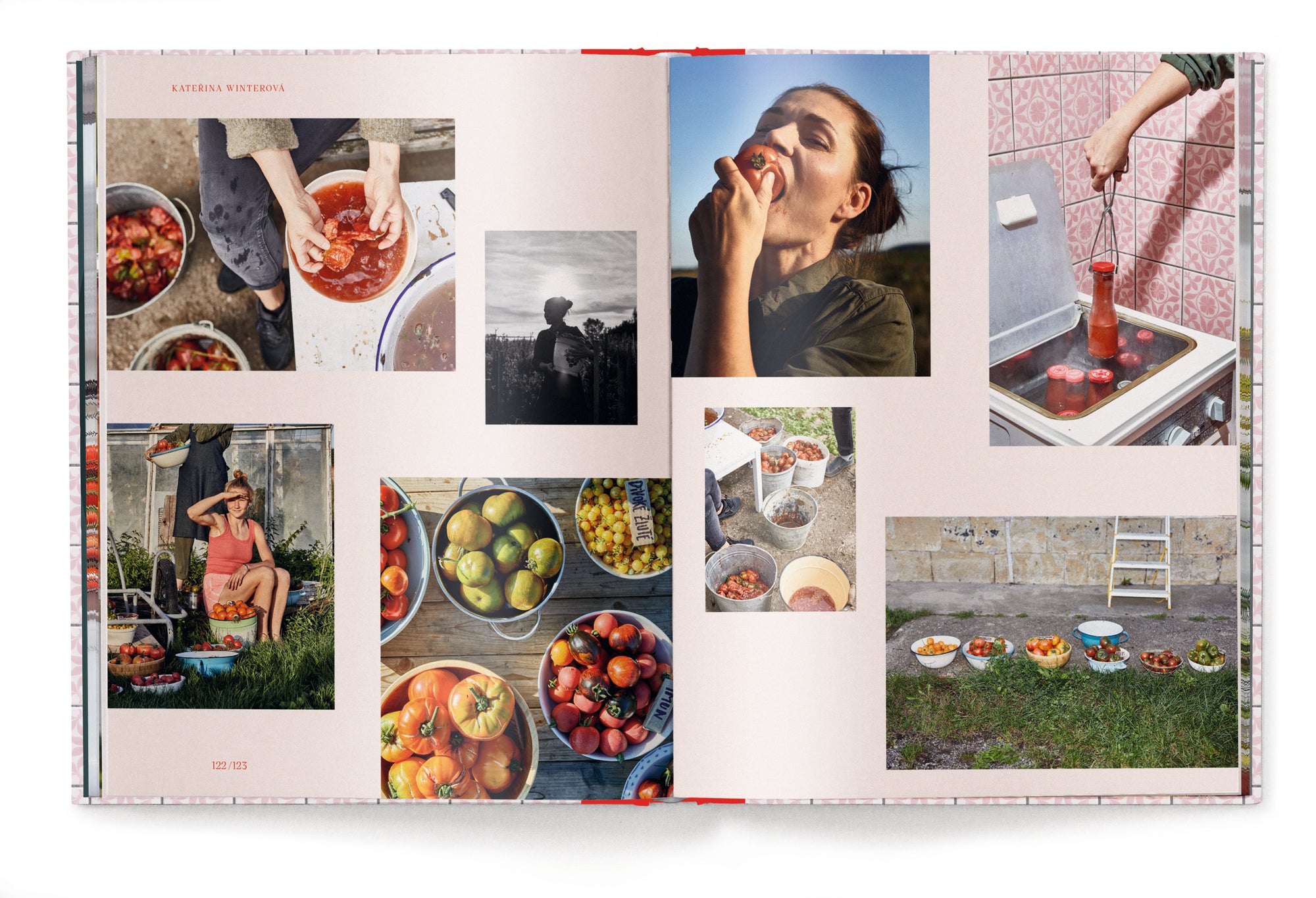 God is a Pickle (Deutsche Ausgabe)