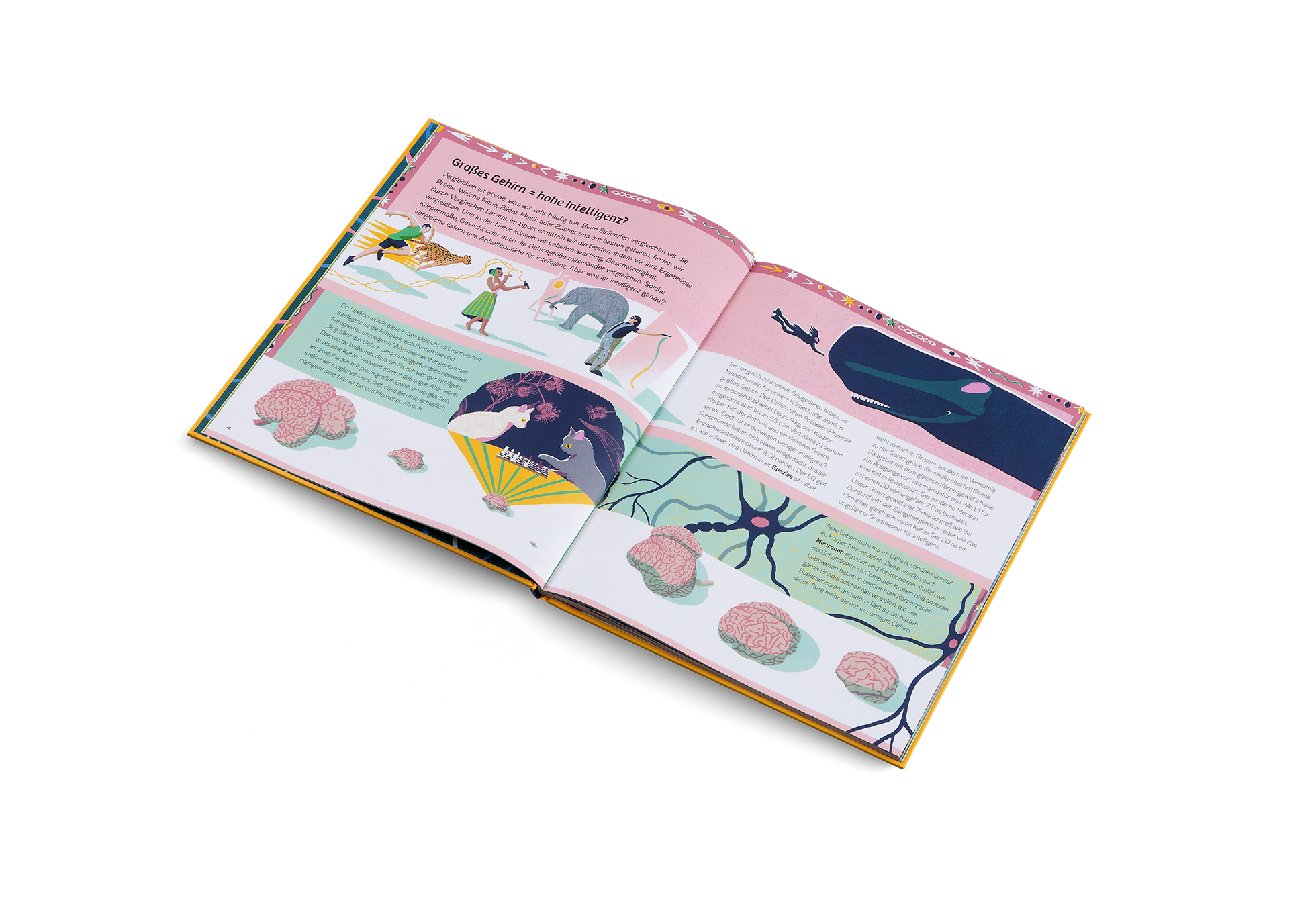 Ganz schön schlaue Tiere