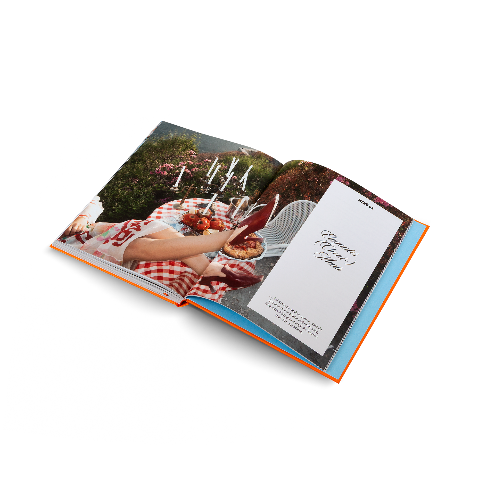 Herrlich Hosting (Deutsche Ausgabe)