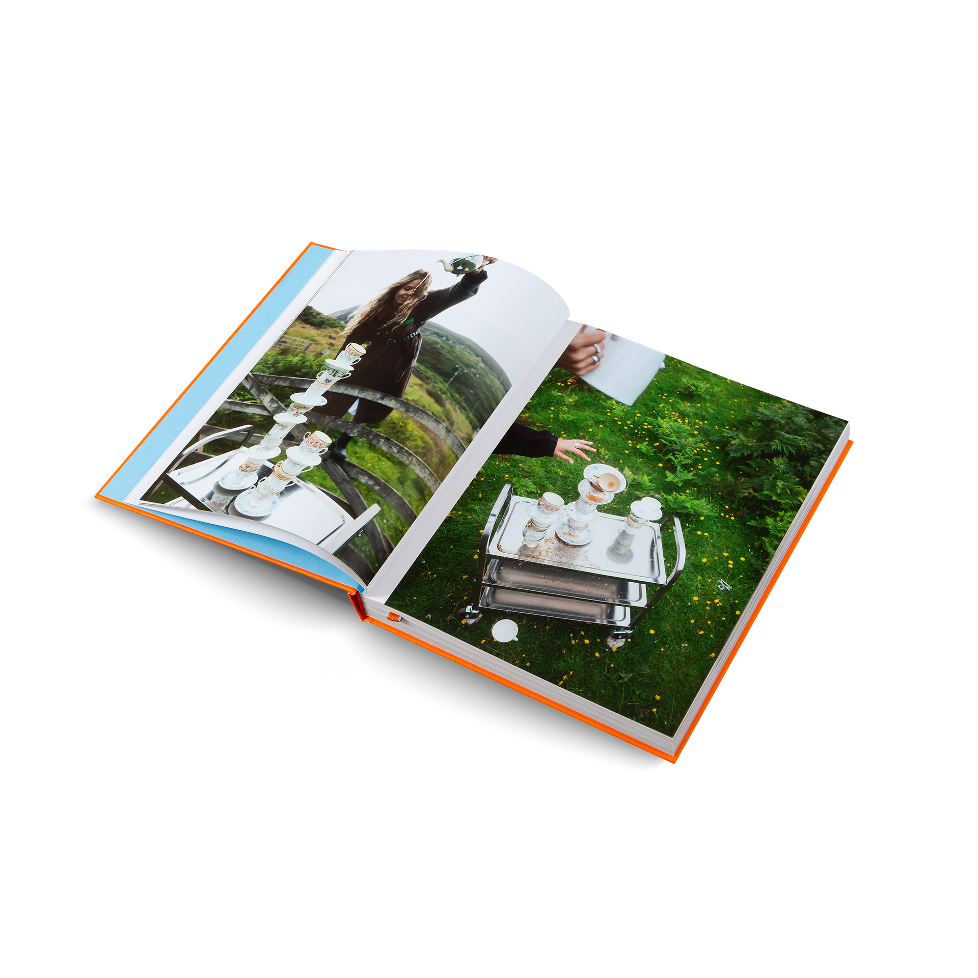 Herrlich Hosting (Deutsche Ausgabe)