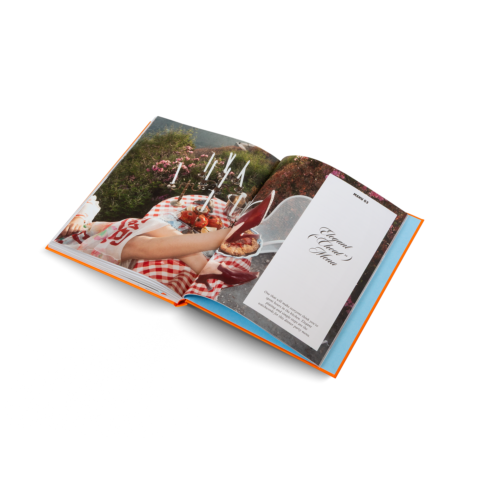 Herrlich Hosting (English Edition)