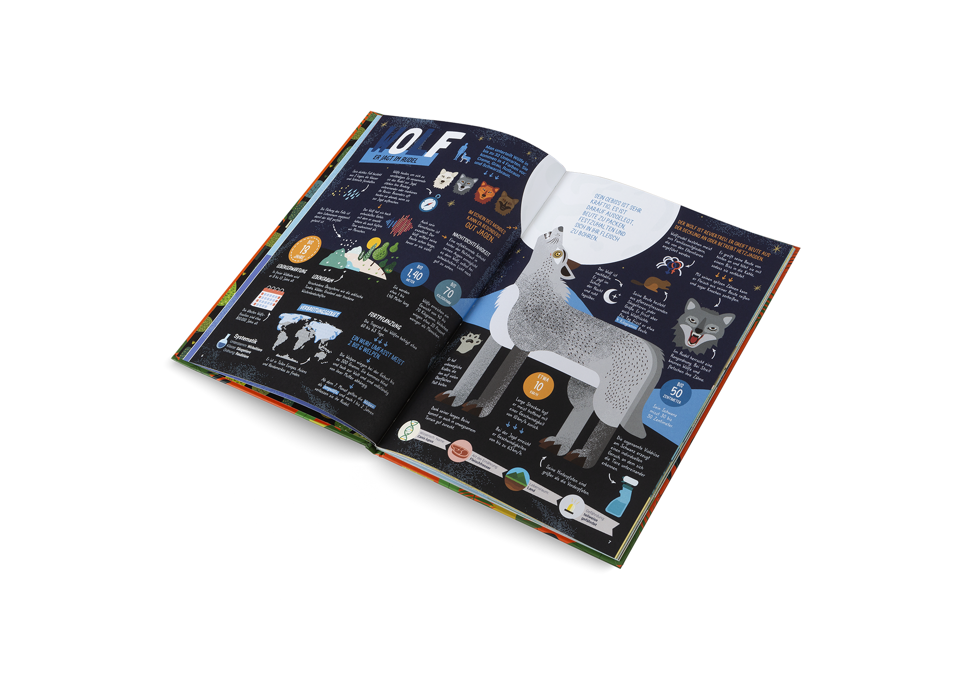 Die Jäger des Tierreichs