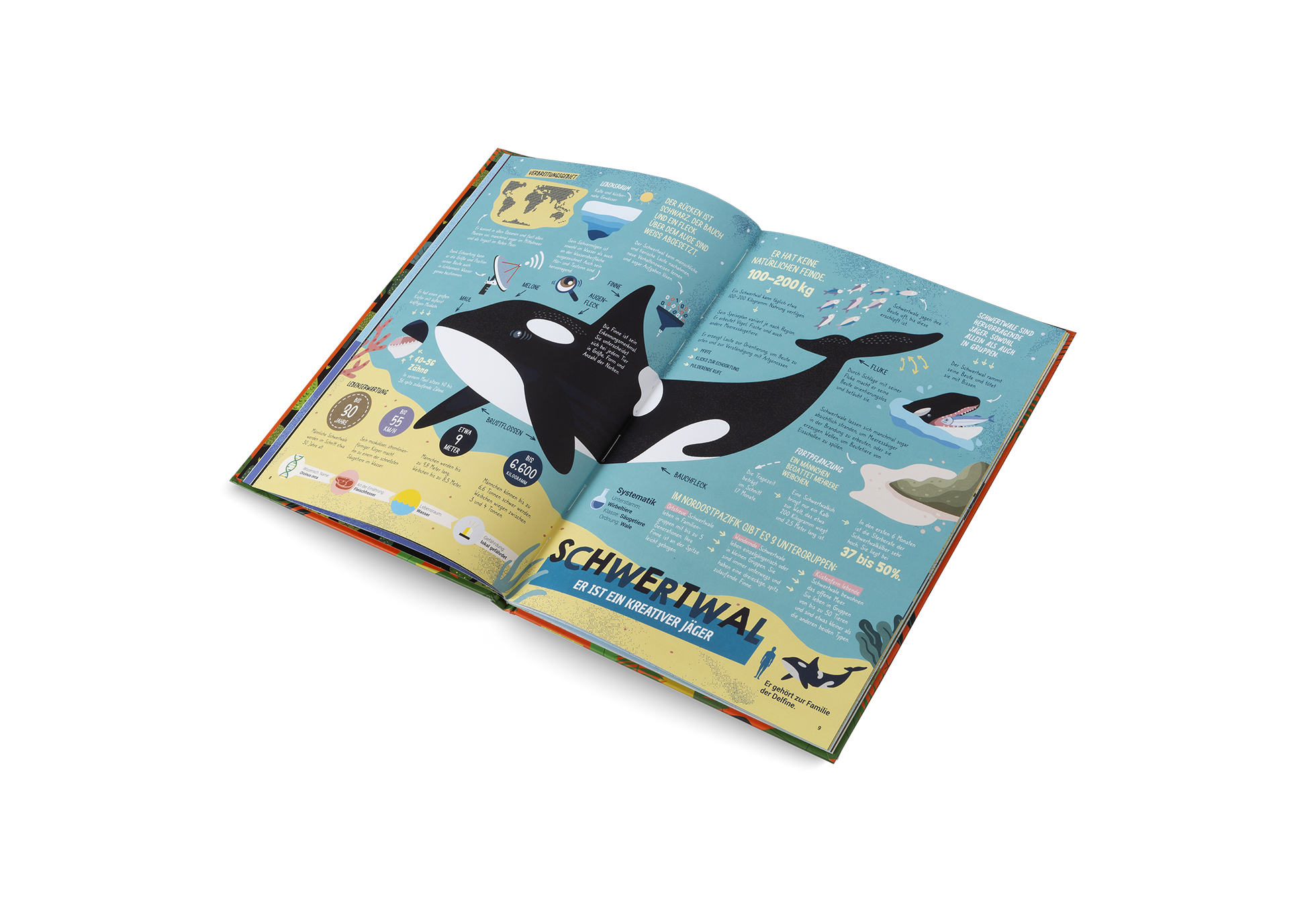 Die Jäger des Tierreichs