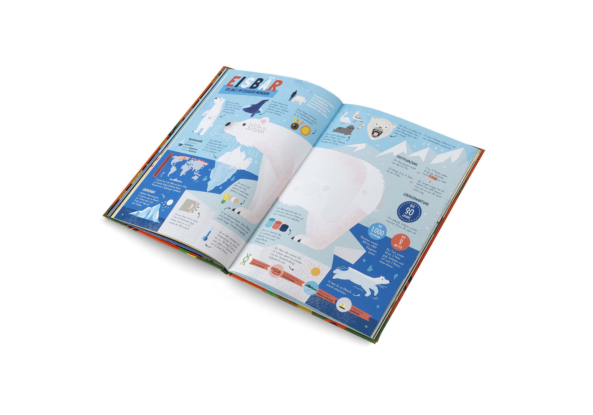 Die Jäger des Tierreichs