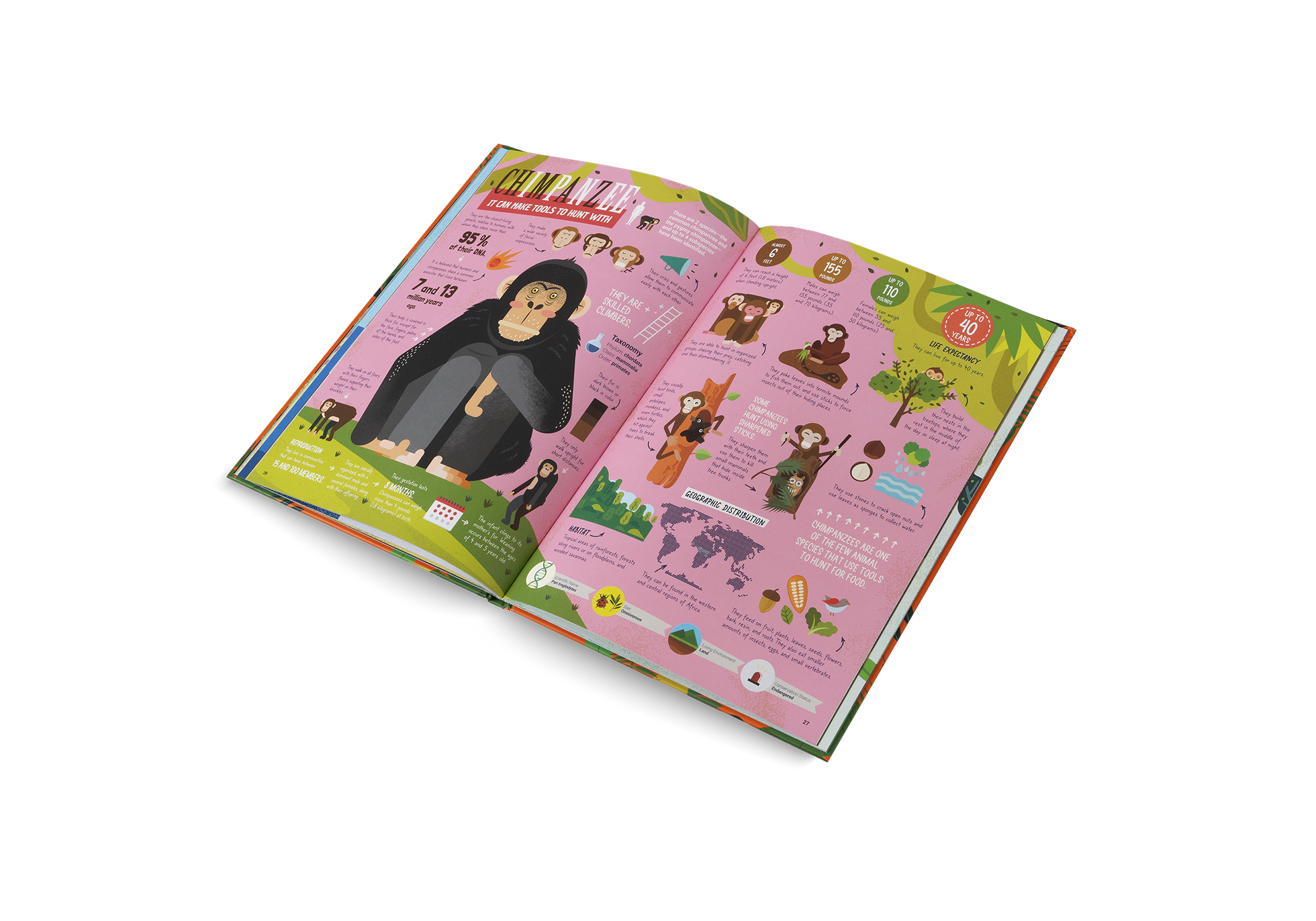 Die Jäger des Tierreichs