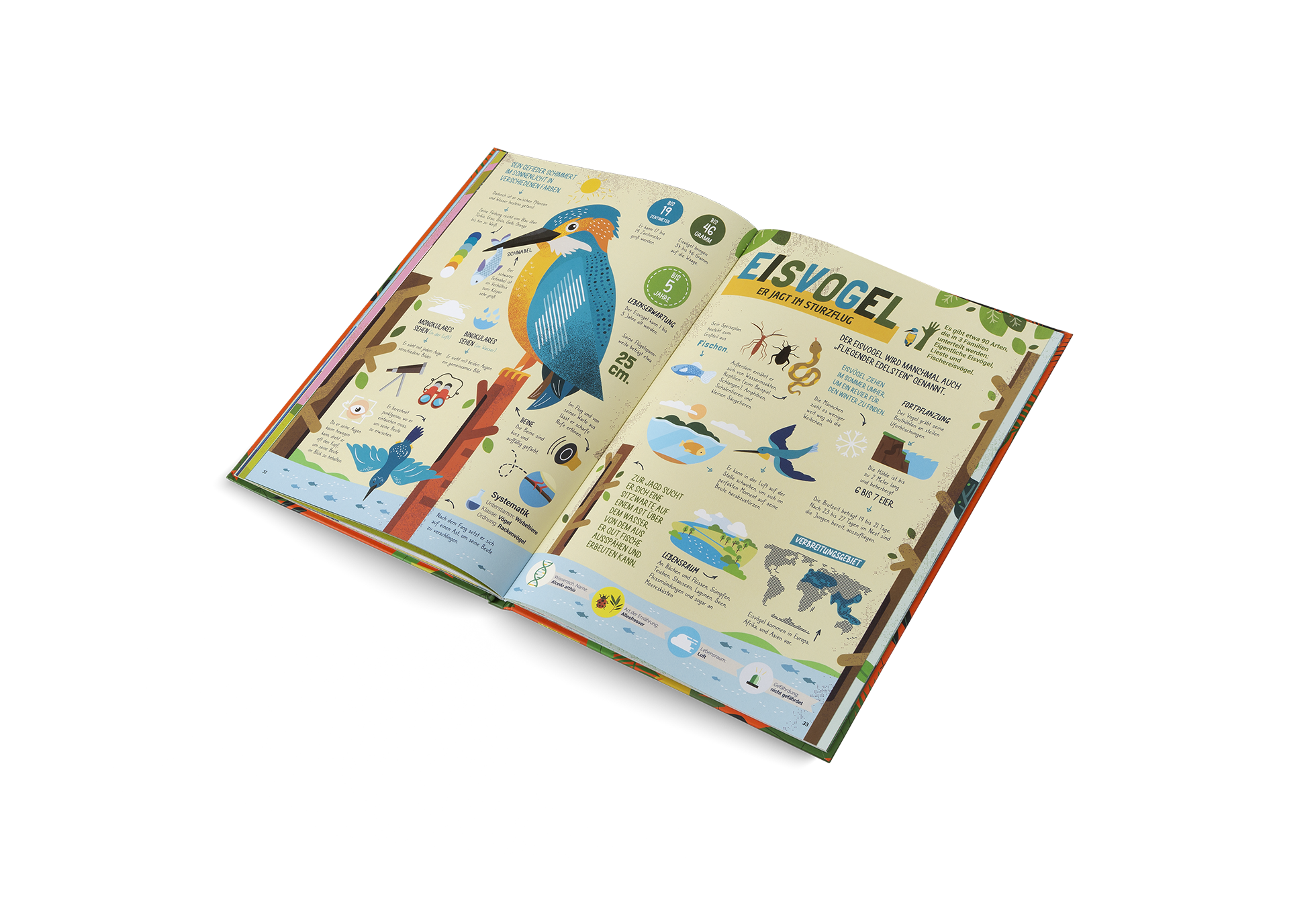 Die Jäger des Tierreichs