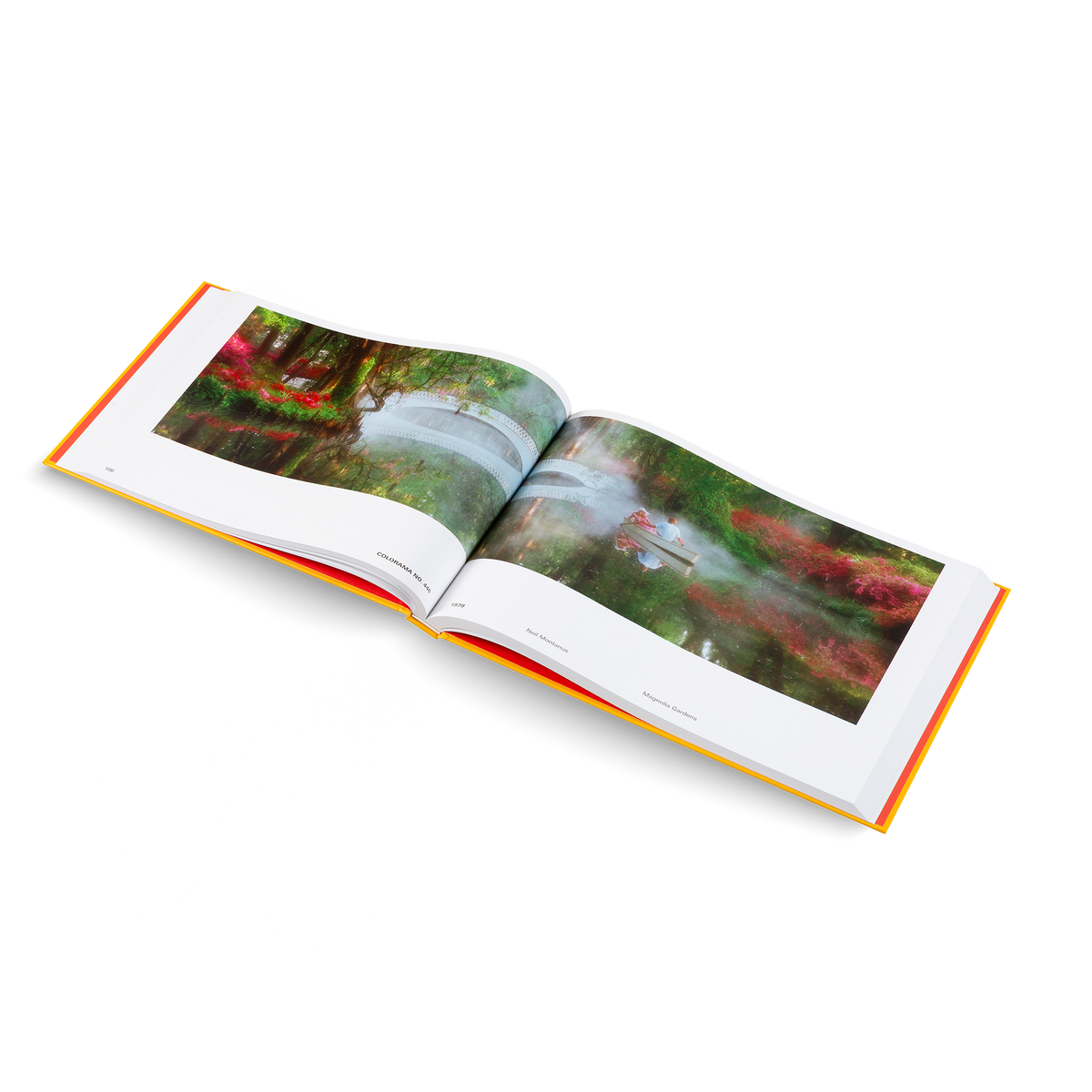 An open hardcover art book displayed at an angle on a clean white background, showing two interior pages with a colorful landscape photograph of a waterfall and autumn foliage.