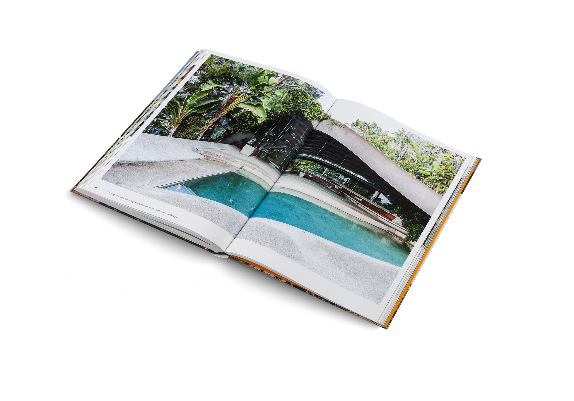 Modernist Icons - Midcentury Houses and Interiors