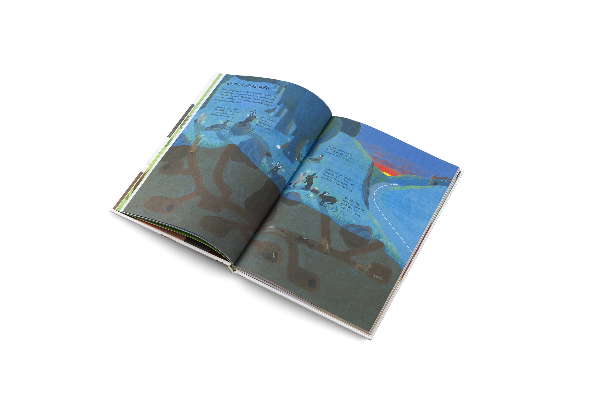 Nenn mich nicht Hase!