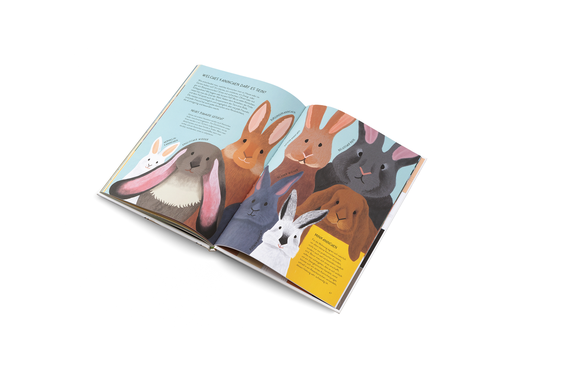 Nenn mich nicht Hase!