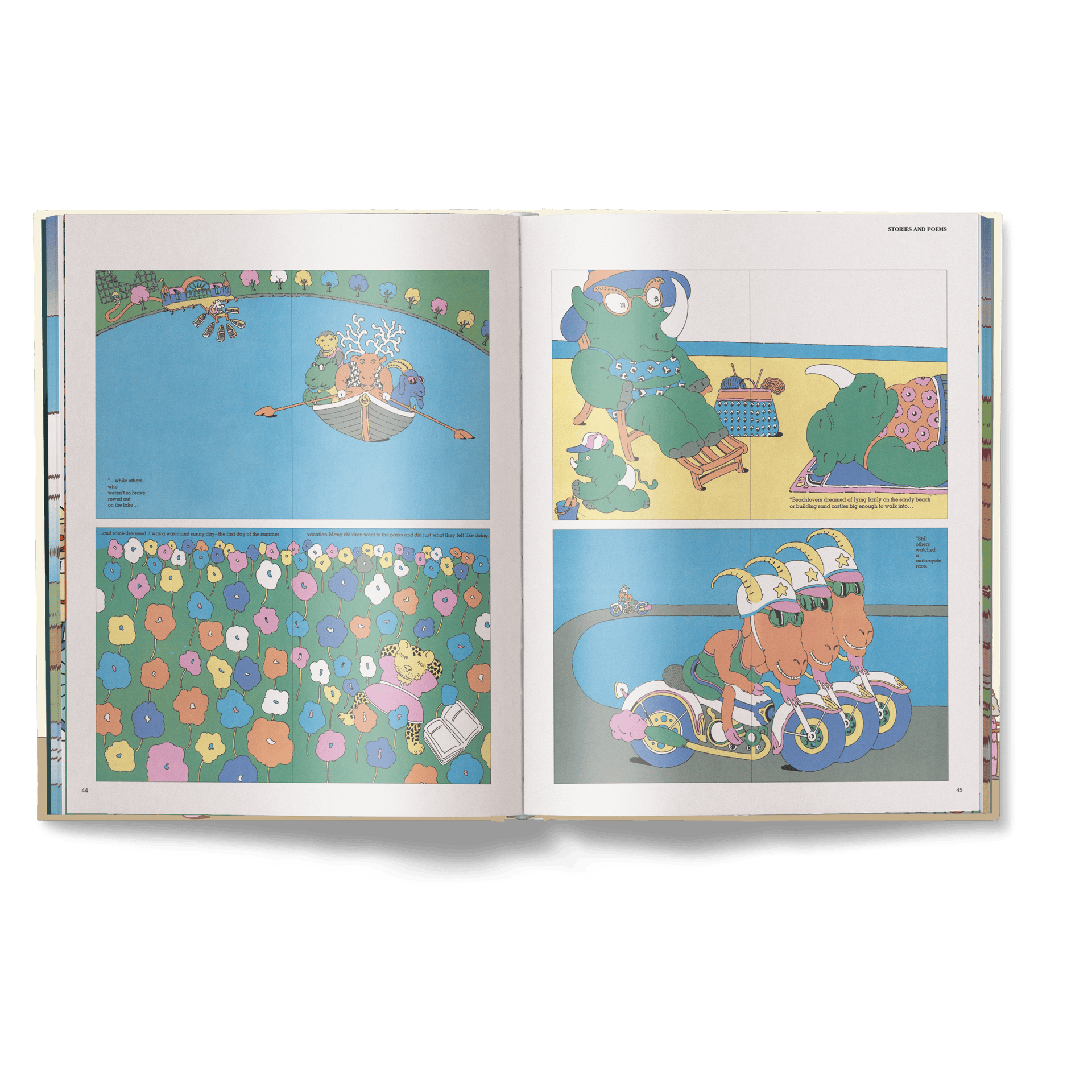 The Picture Book Book