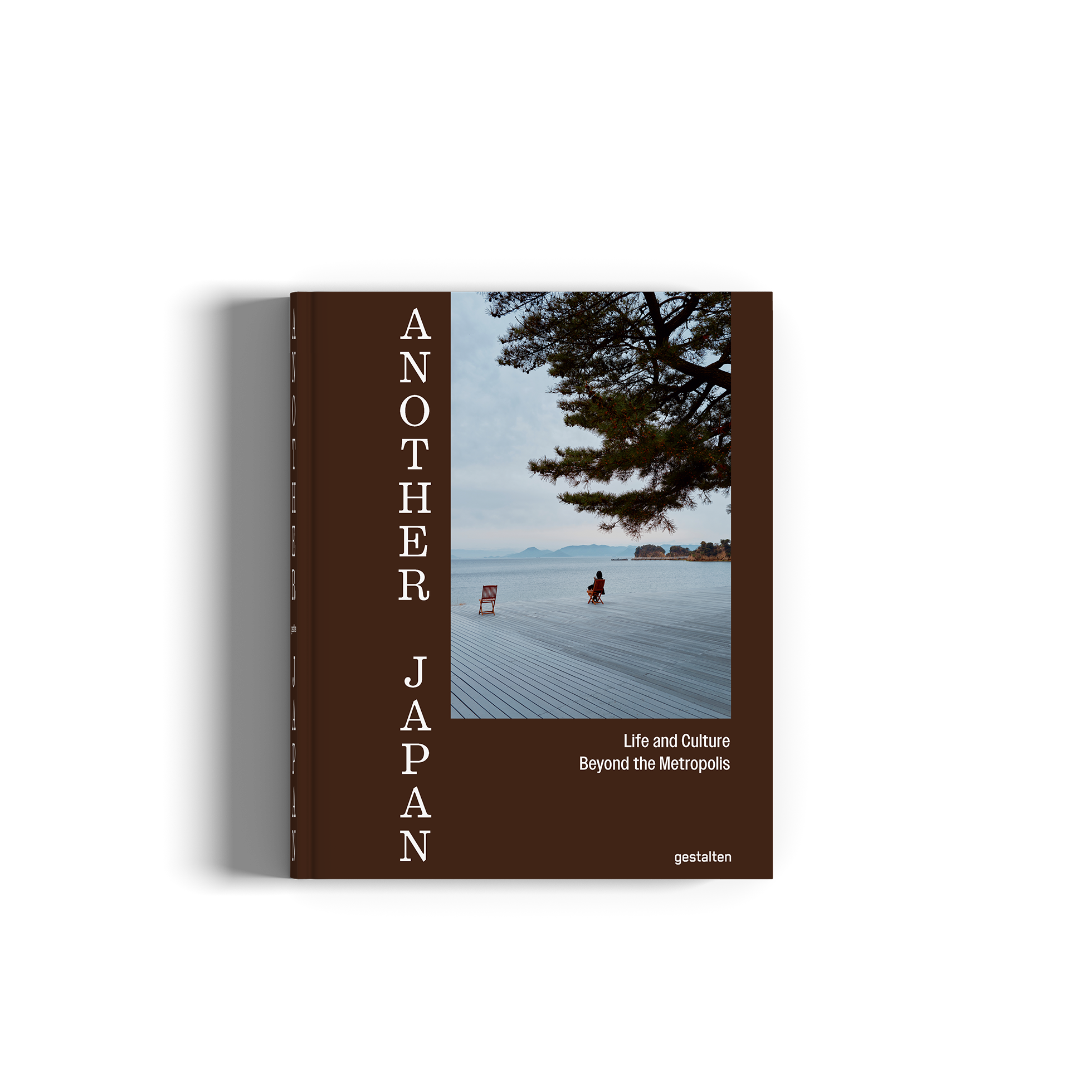 Book cover of 'Another Japan' with a scenic image and brown border.