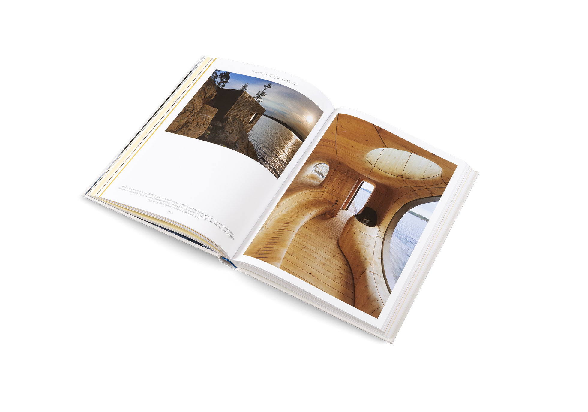 The Nature of Swimming (Updated Edition)