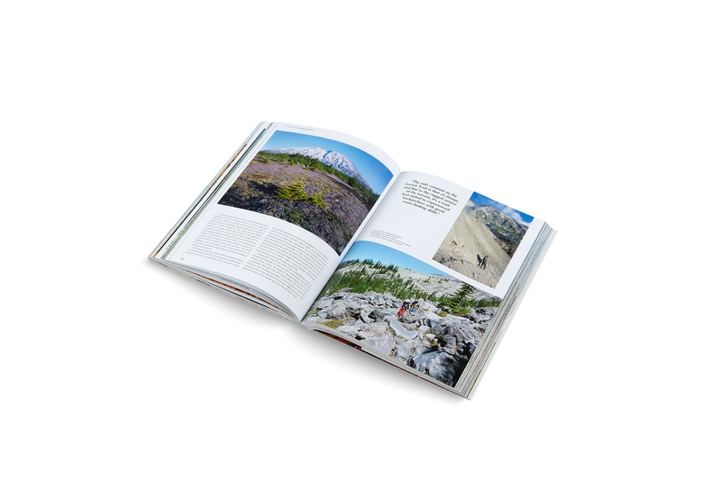WANDERLUST Amore per viaggiare per il mondo Regalo per i WANDERLUST Amore per viaggiare per il mondo Regalo per i