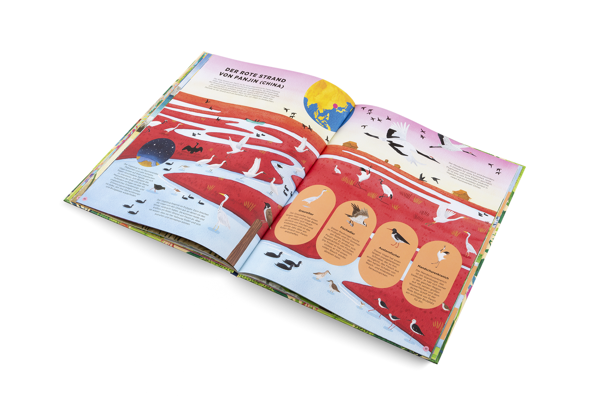 Wo die wilden Tiere leben