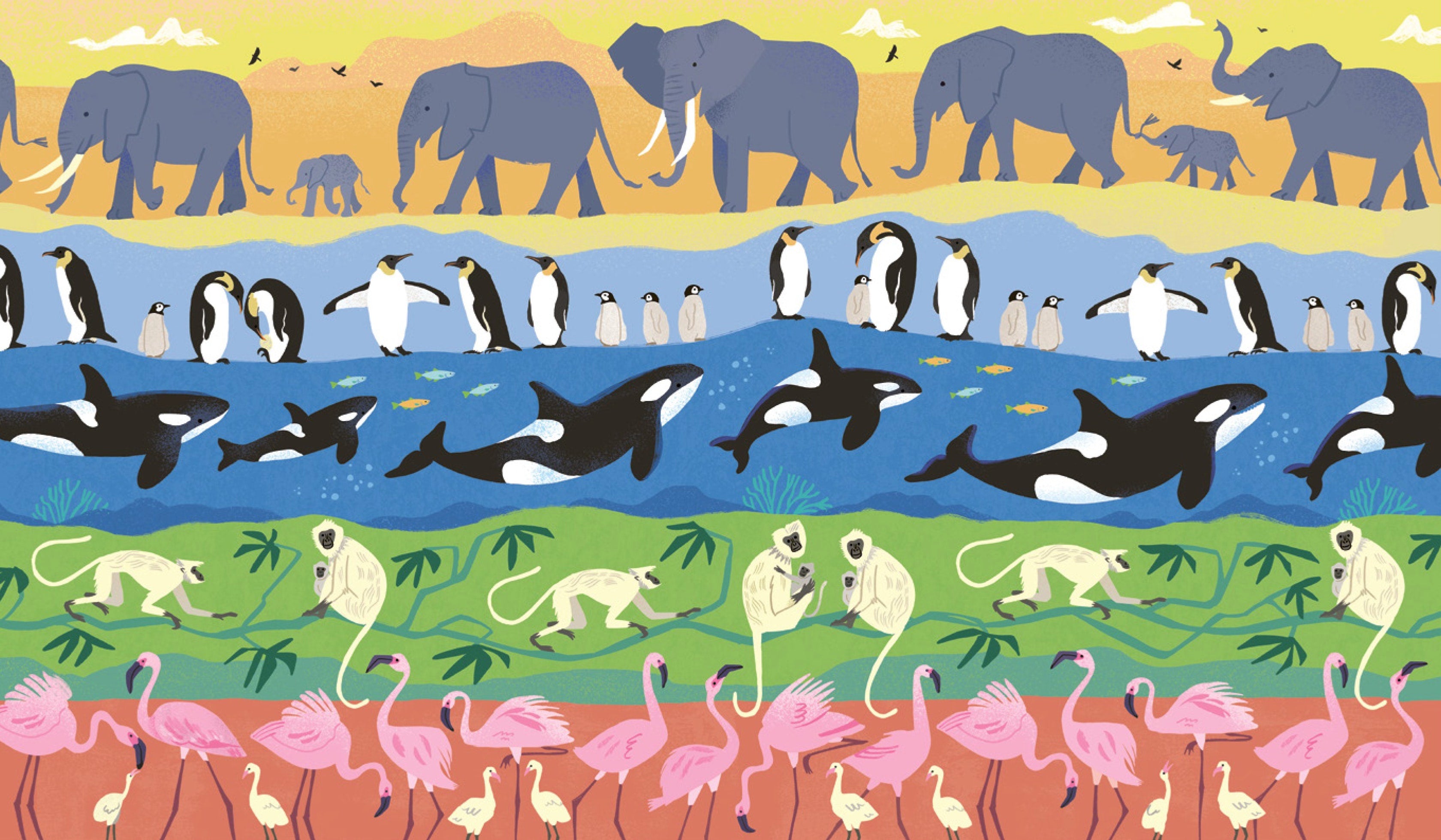 Home Is Where the Herd Is