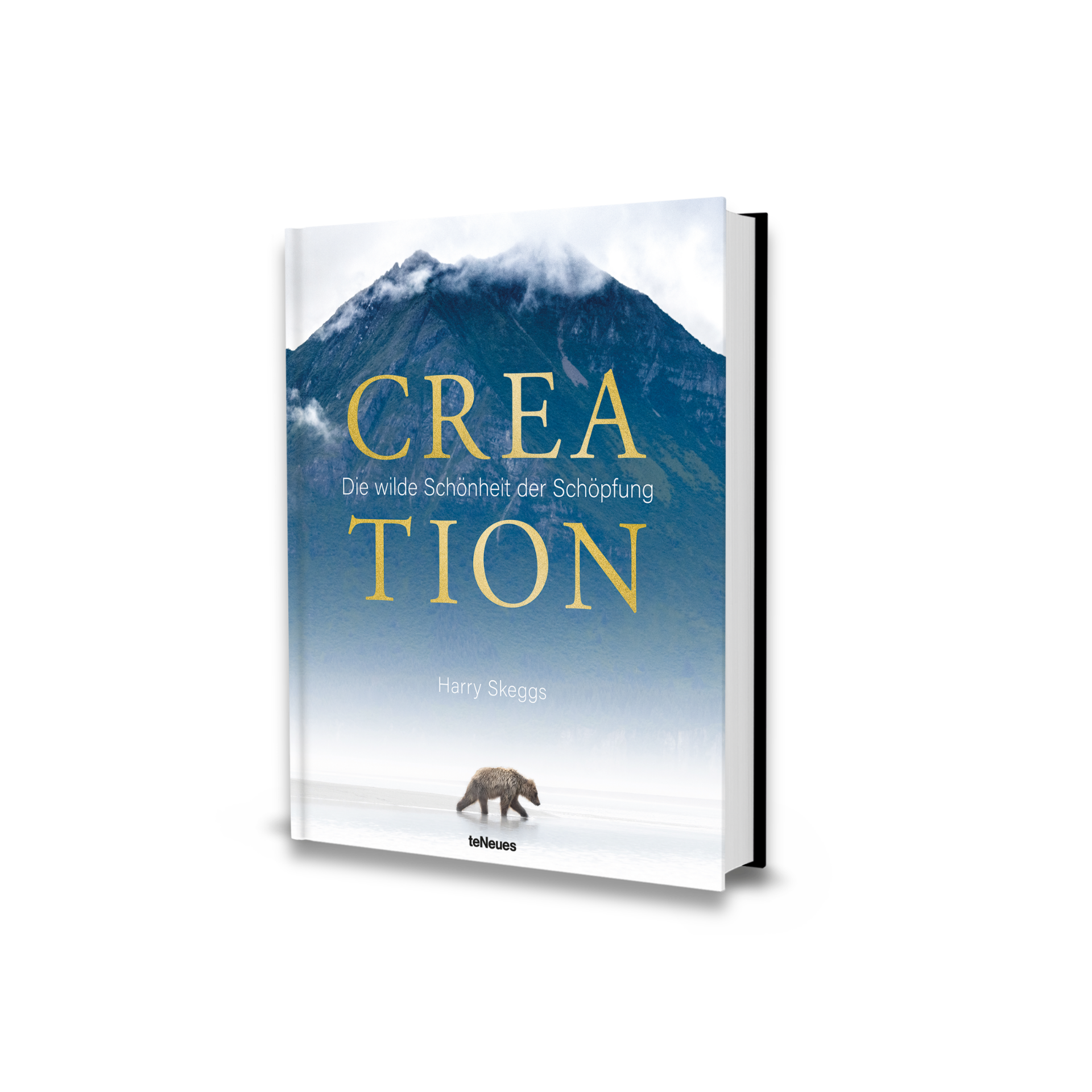 Creation