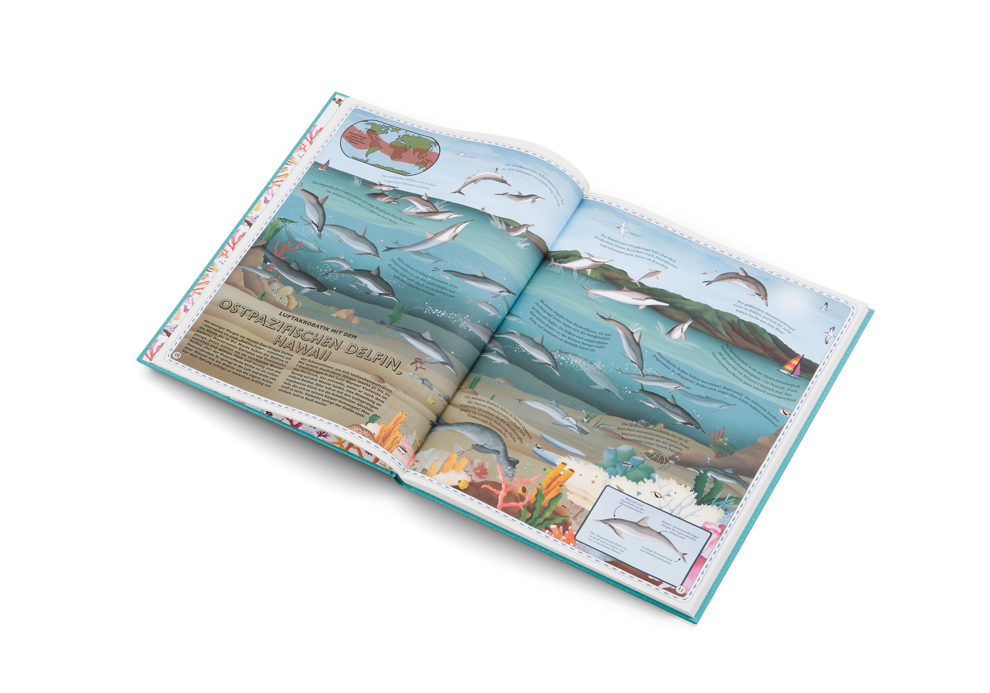 Ostpazifischen Delfin im Atlas der Ozeane