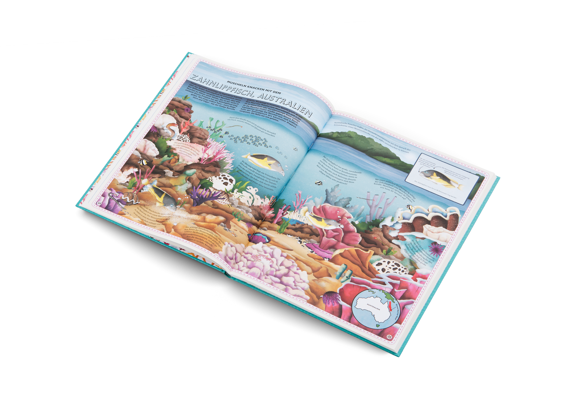 Zahnlippfisch im Atlas der Ozeane